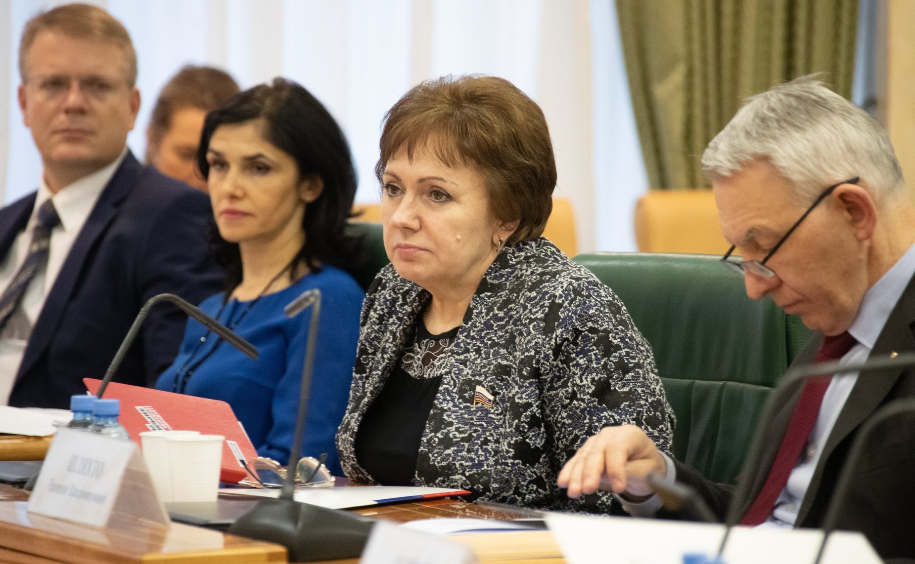 Елена Бибикова