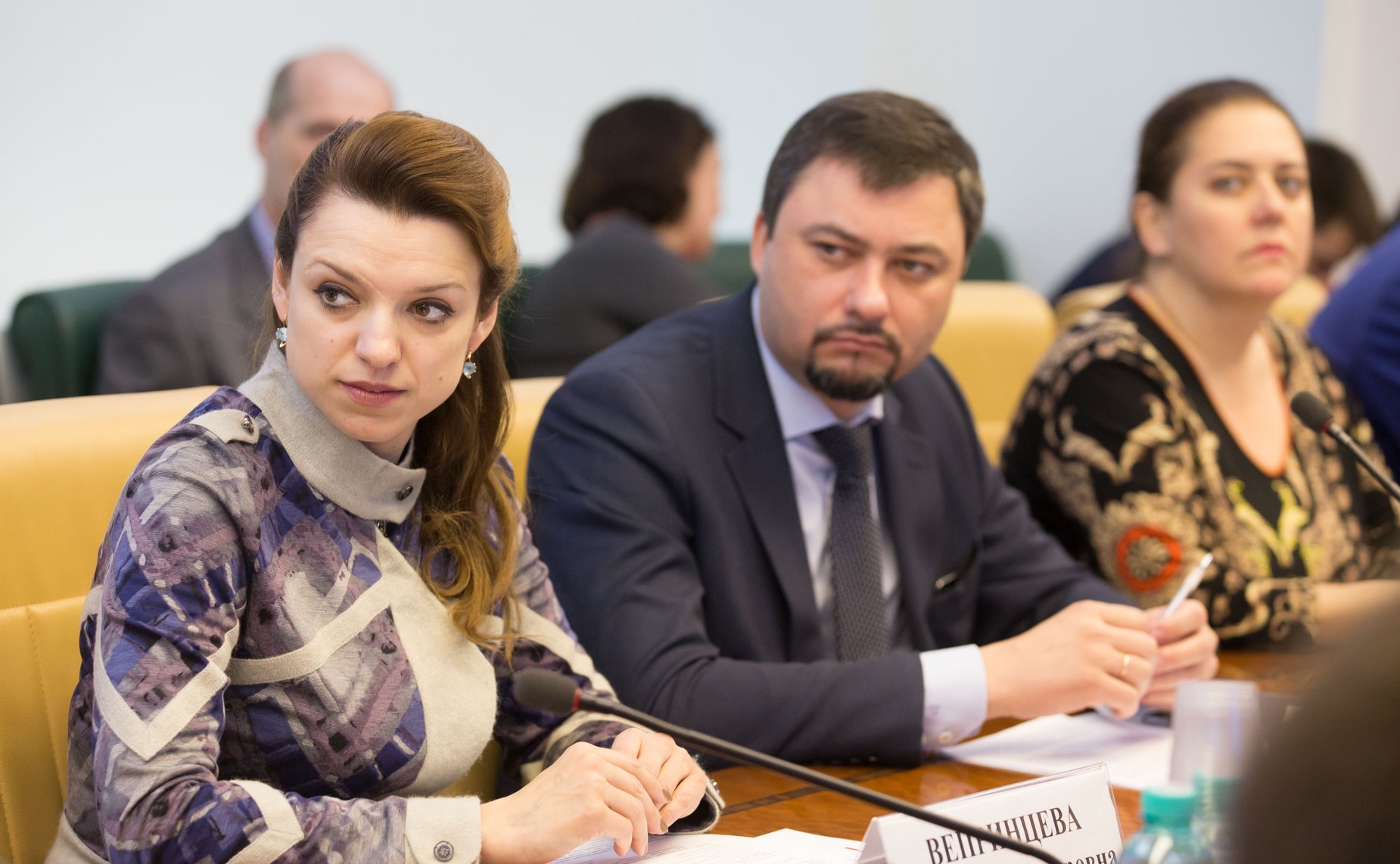 Ю. Вепринцева Расширенное заседание Комитета СФ по социальной политике с участием представителей органов государственной власти Ленинградской области