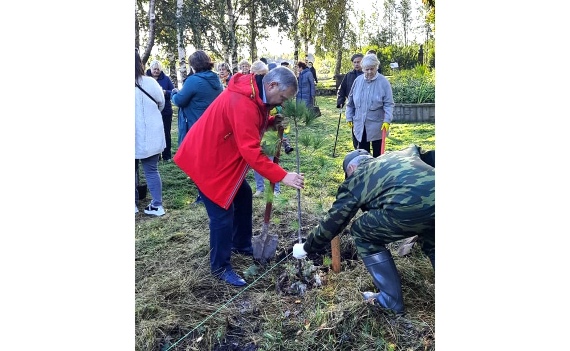 Александр Ракитин принял участие в акции «Сад памяти», которую организуют «Волонтеры Победы»