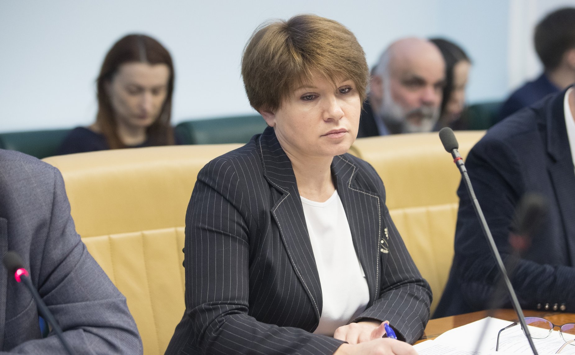 «Круглый стол» Комитета СФ по социальной политике на тему «Эффективные механизмы вывода части туристической отрасли из теневого сектора»