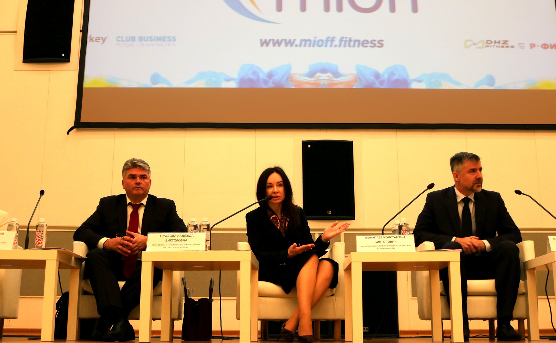 Заседание Экспертного совета по физической культуре и спорту при Комитете СФ по социальной политике