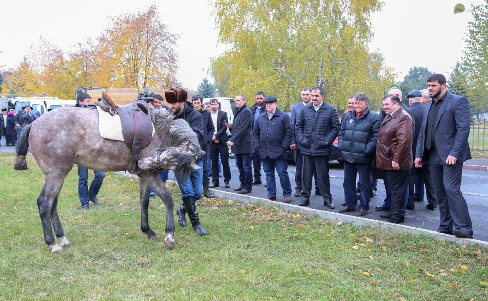 Третий день пребывания Делегации Комитета по обороне и безопасности Совета Федерации в Республике Ингушетия начался с посещения открывшегося совсем недавно Центра культурного развития в Магасе
