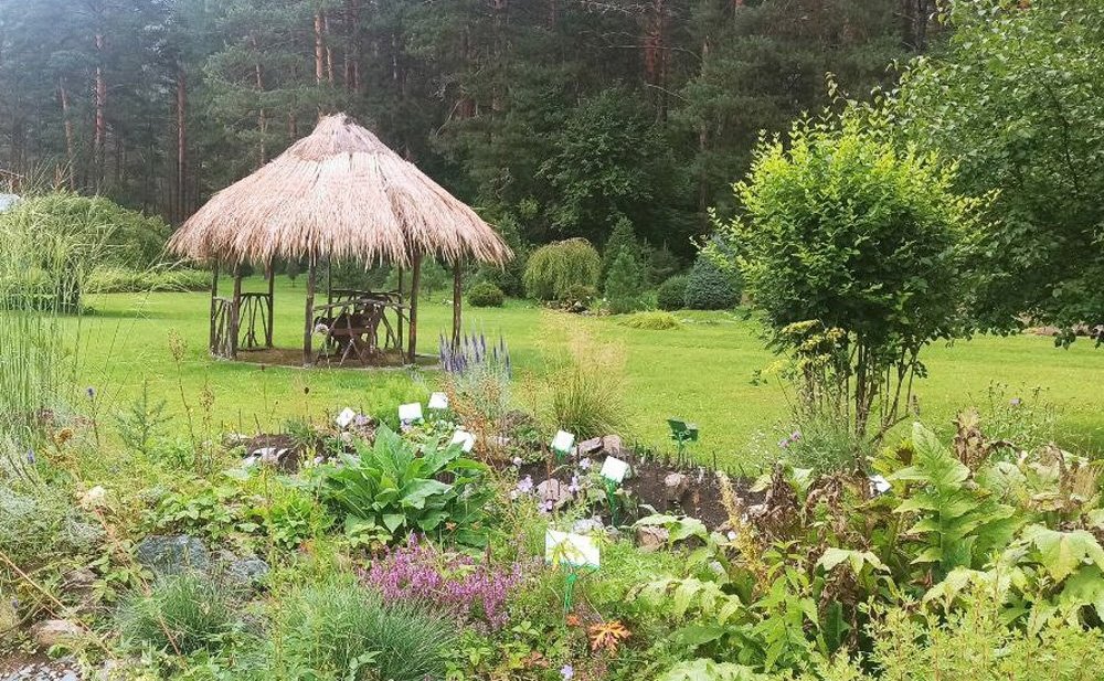 Татьяна Гигель в ходе рабочей командировки по региону побывала в республиканском ботаническом саду – филиале ЦСБС СО РАН