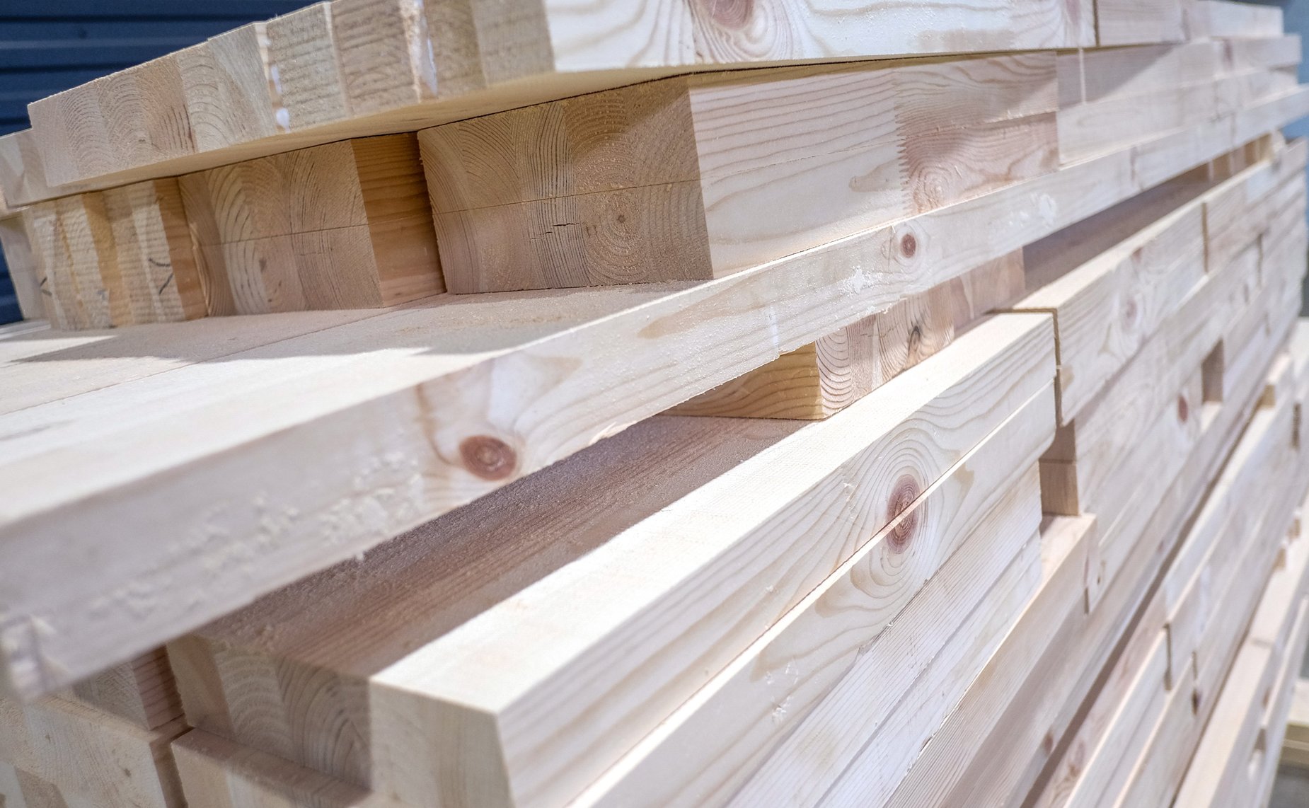 Сенаторы посетили деревоперерабатывающие предприятия в Кировской области