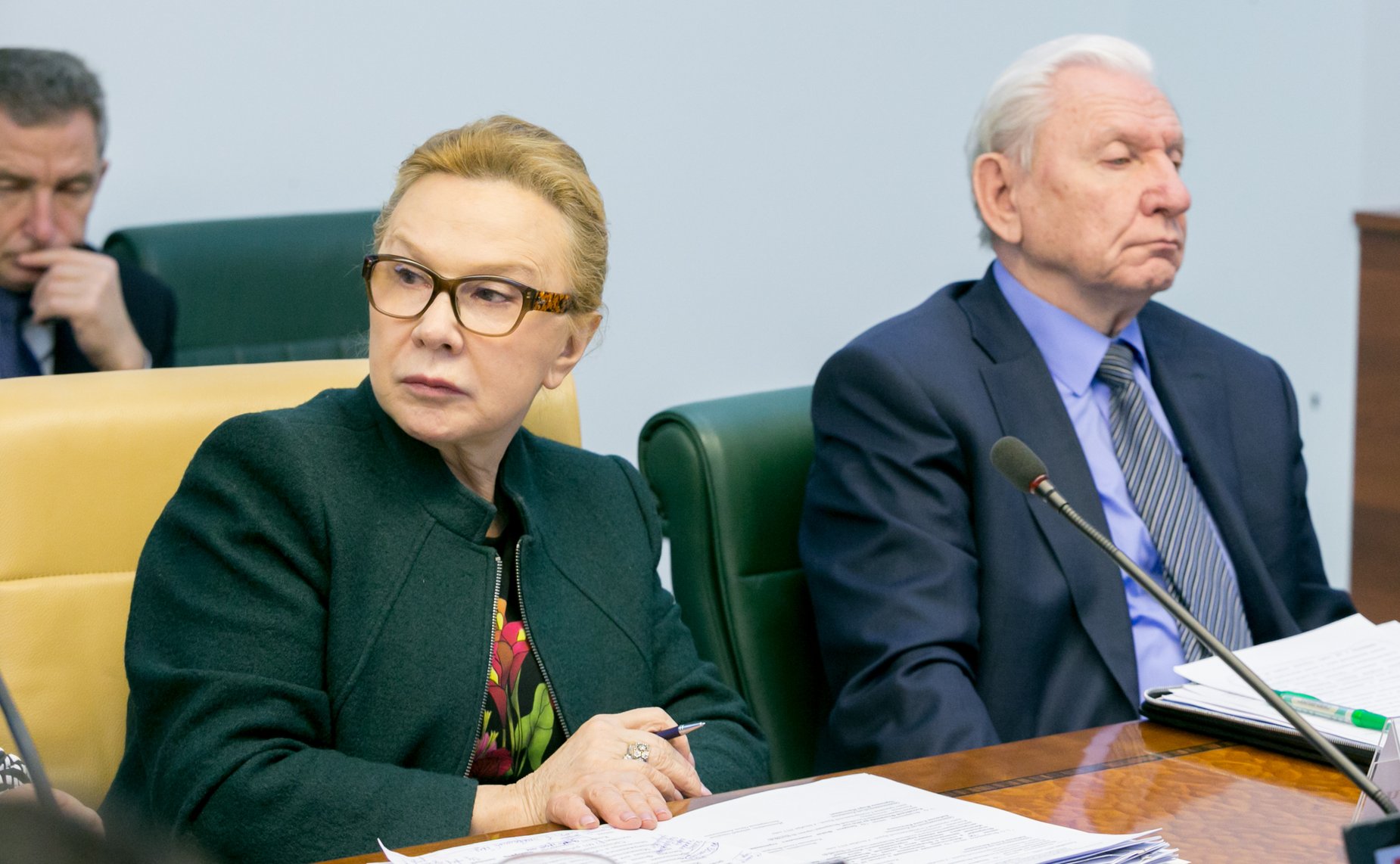 Л. Косткина Расширенное заседание Комитета Совета Федерации по социальной политике с участием представителей государственной власти Оренбургской области