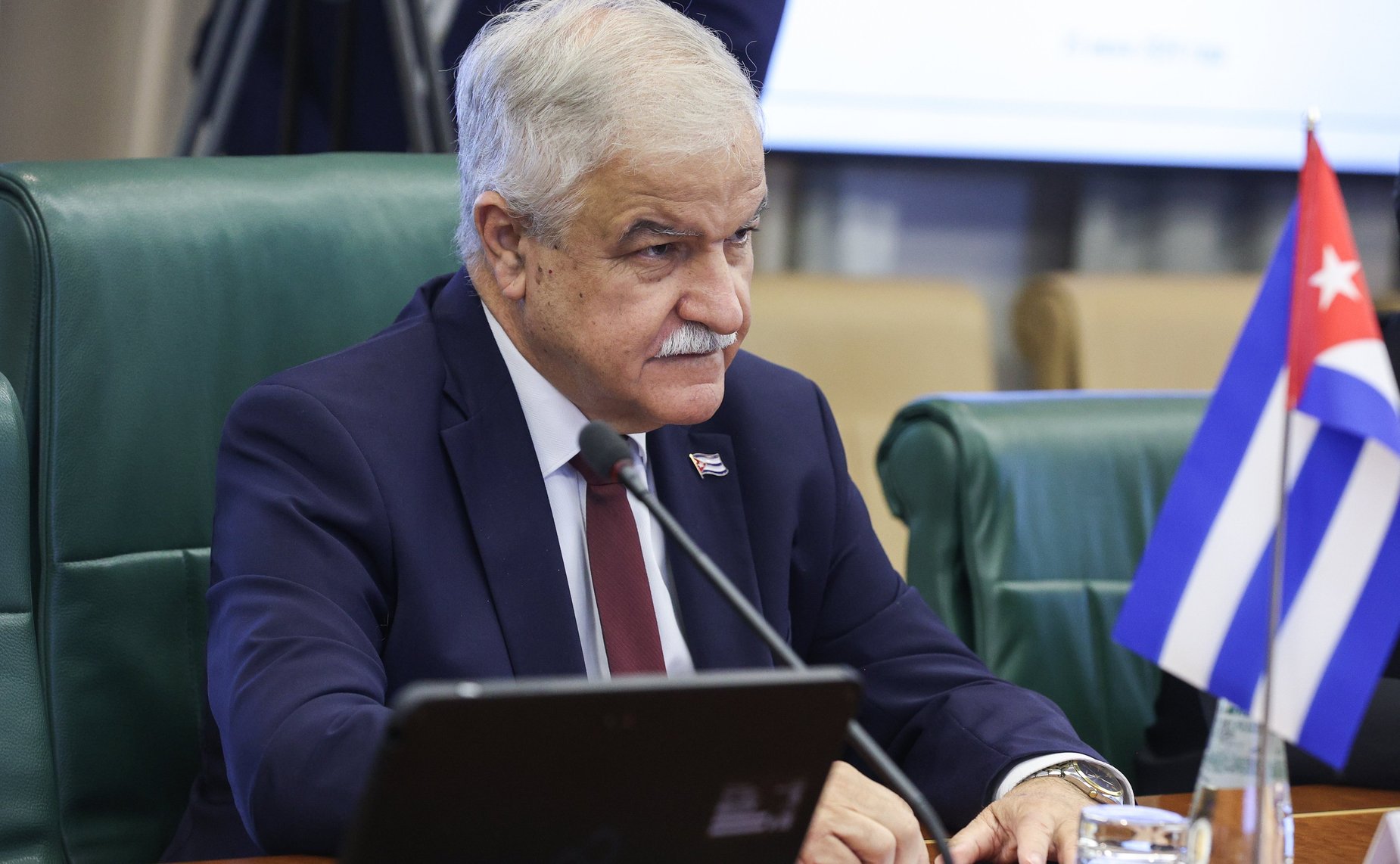 Встреча Галины Кареловой с Чрезвычайным и Полномочным Послом Республики Куба в Российской Федерации