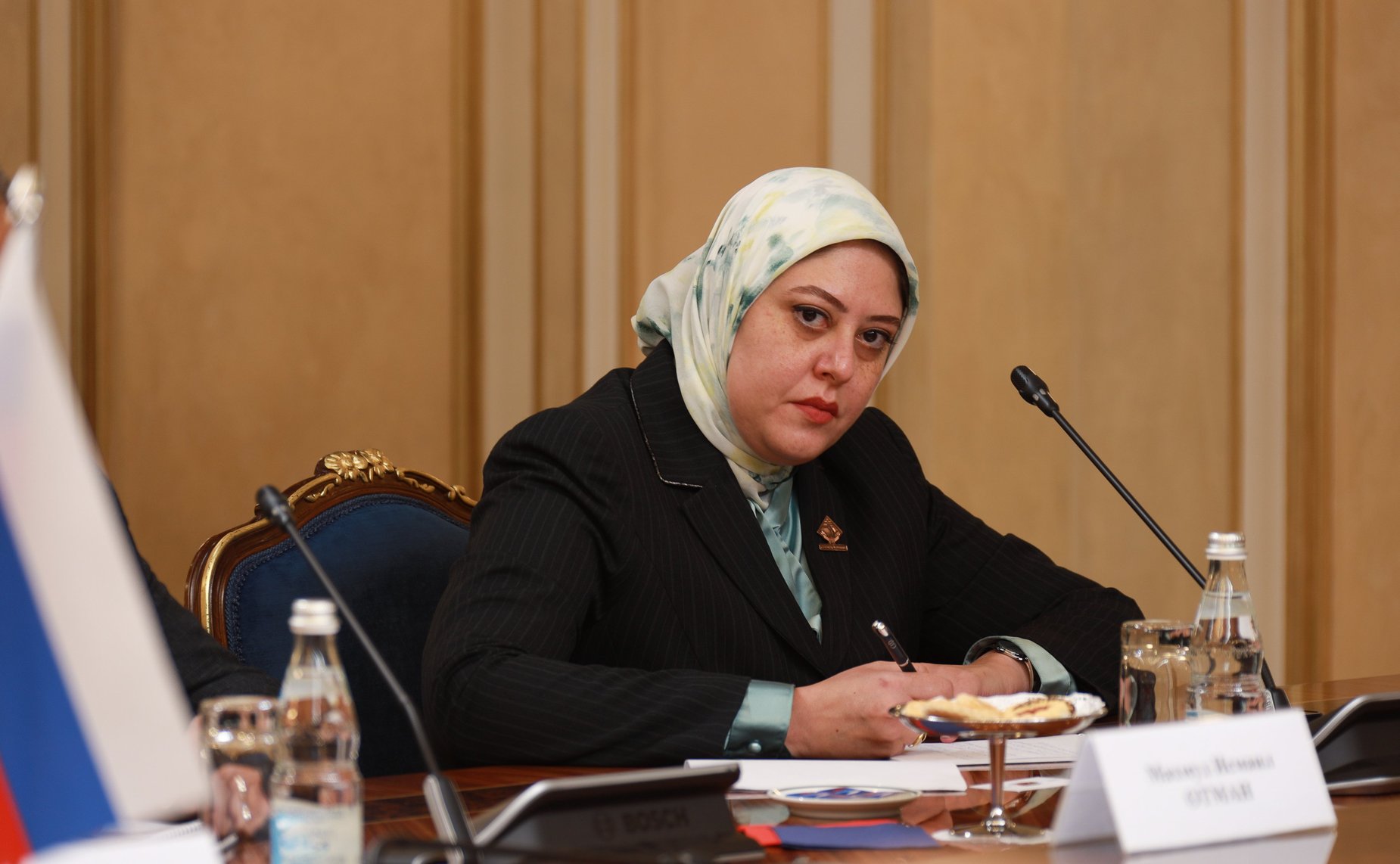 Встреча Председателя СФ Валентины Матвиенко с Председателем Сената Арабской Республики Египет