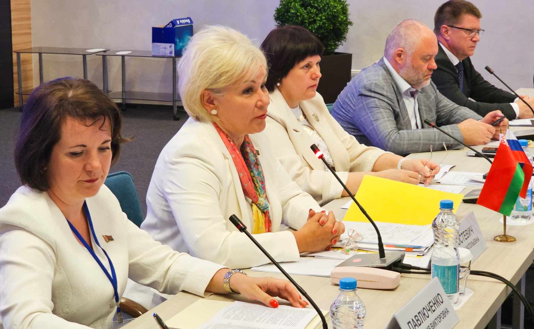 Елена Афанасьева приняла участие в пленарном заседании постоянно действующего семинара при Парламентском Собрании Союза Беларуси и России по вопросам строительства Союзного государства