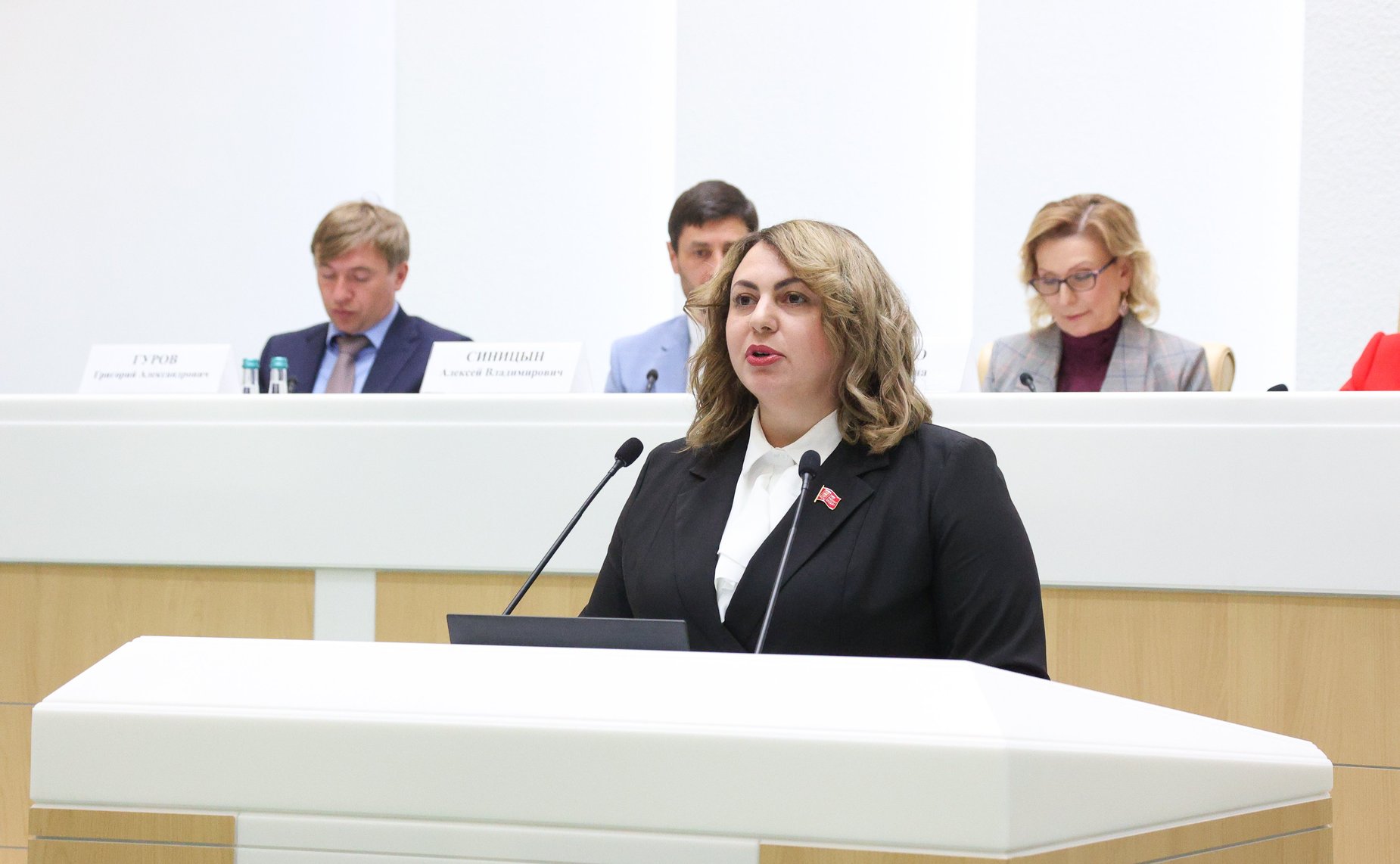 Заседание Палаты молодых законодателей при Совете Федерации