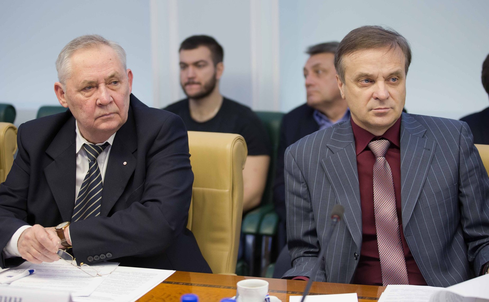 Заседание Экспертного совета по физкультуре и спорту при Комитете СФ по социальной политике