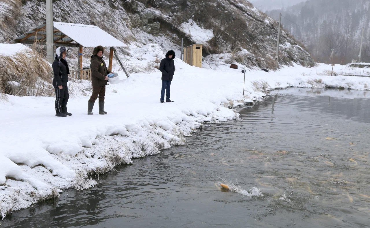 Татьяна Гигель посетила форелеводческое крестьянско-фермерское хозяйство