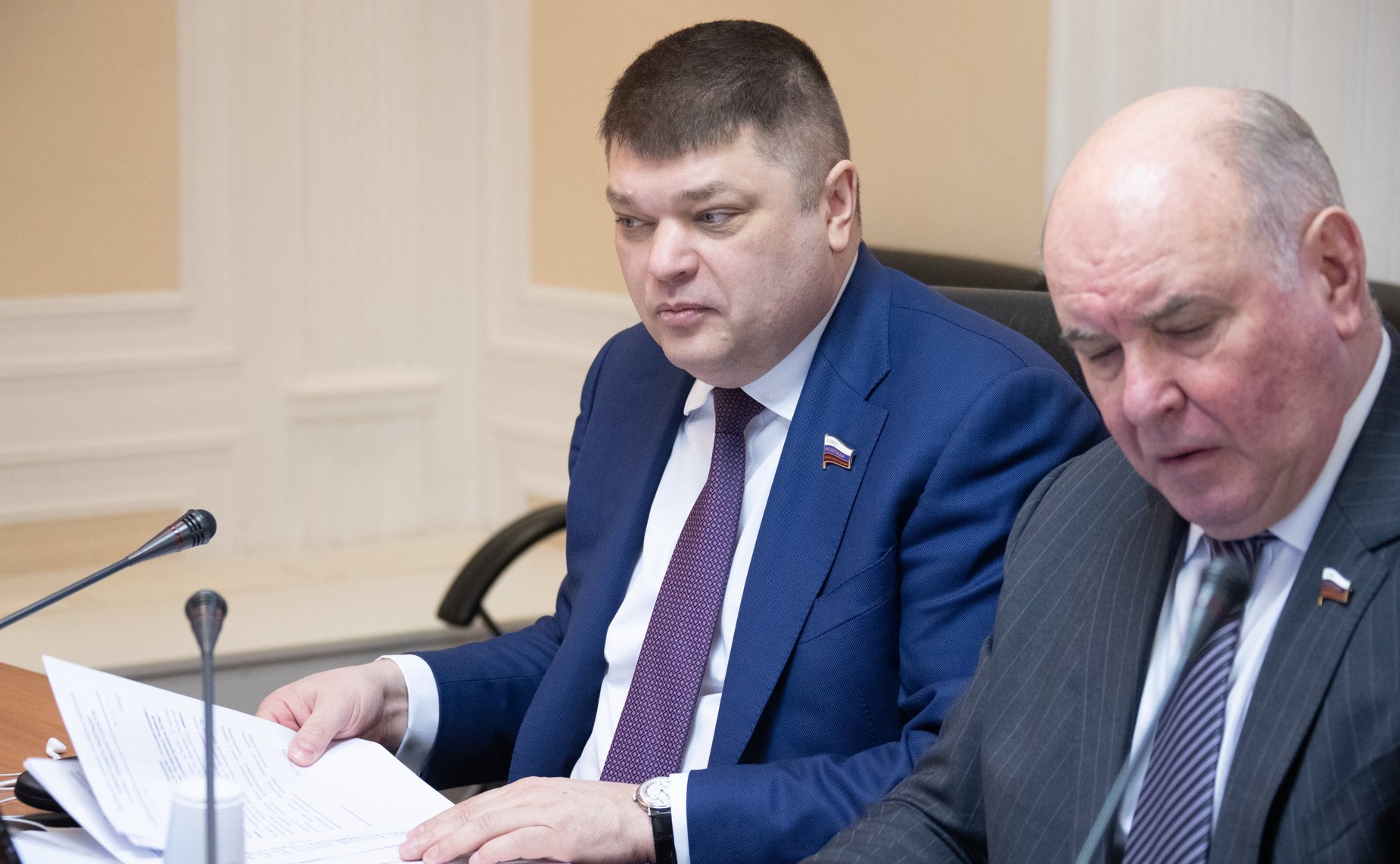 Заседание Комитета СФ по науке, образованию и культуре