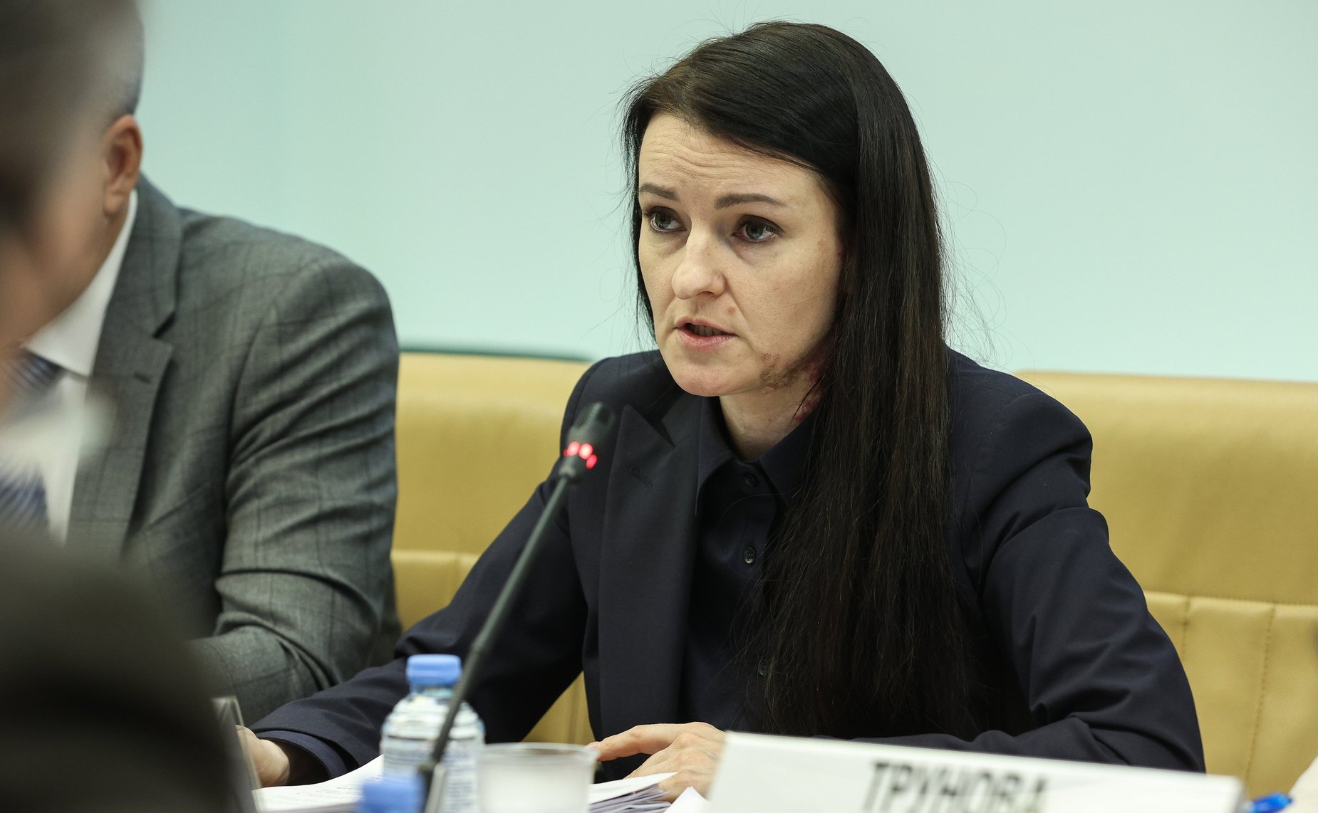 Круглый стол Комитета СФ по федеративному устройству, региональной политике, МСУ и делам Севера