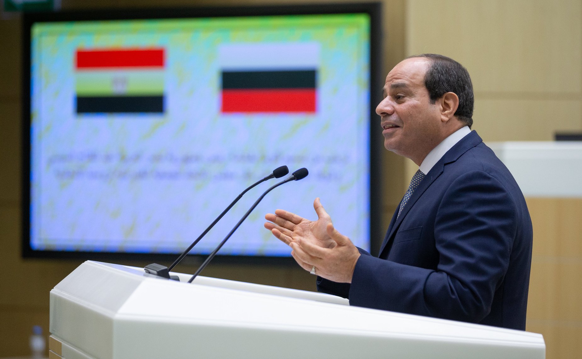 Выступление Президента Египта Абдельфаттаха Ас-Сиси в Совете Федерации