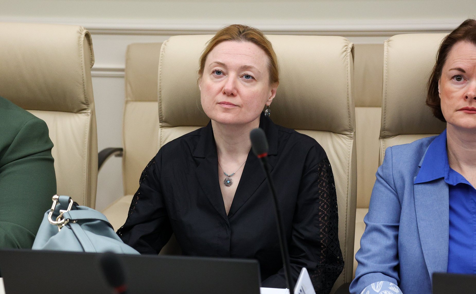 Заседание Комитета Совета Федерации по федеративному устройству, региональной политике, местному самоуправлению и делам Севера