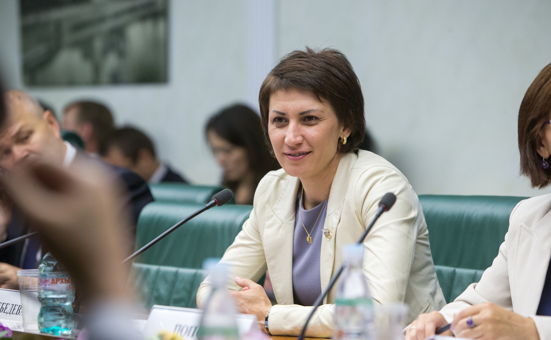 Заседание экспертного совета по туризму Лебедева