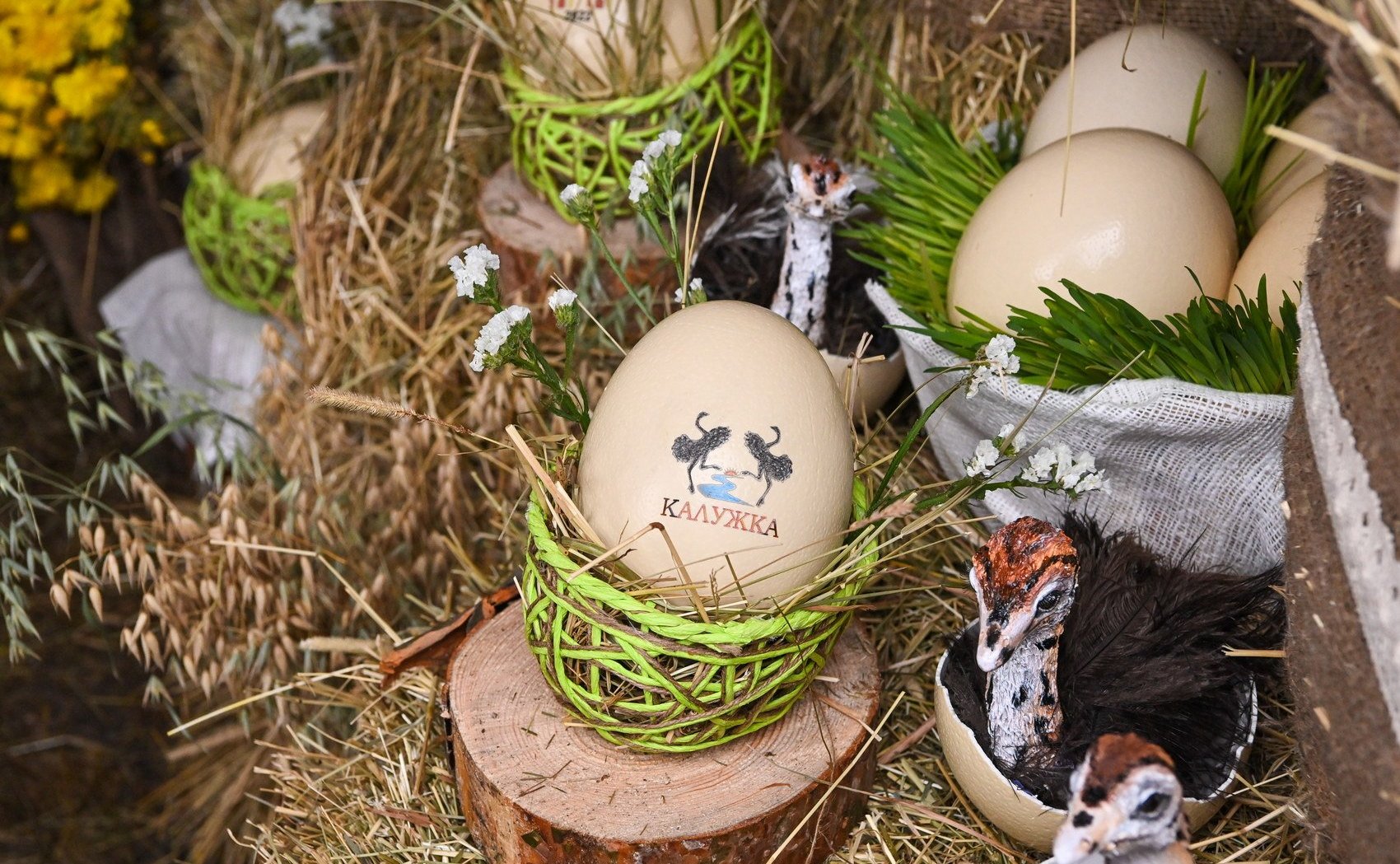 Анатолий Артамонов в Калуге дал старт работе трехдневной выставки-ярмарки «Калужская осень-2022»