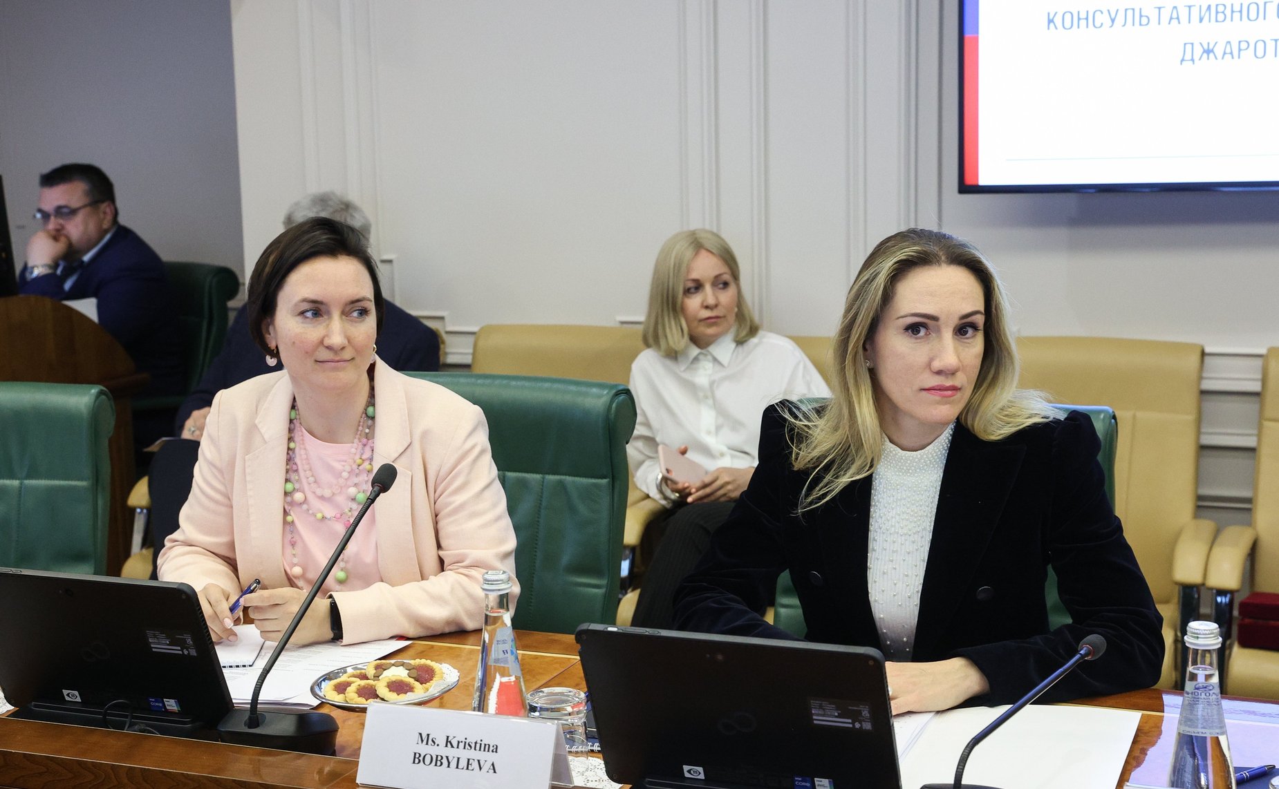 Встреча председателя Комитета СФ по конституционному законодательству и государственному строительству Андрея Клишаса с руководителем Комитета по исследованиям Народного консультативного конгресса Республики Индонезии