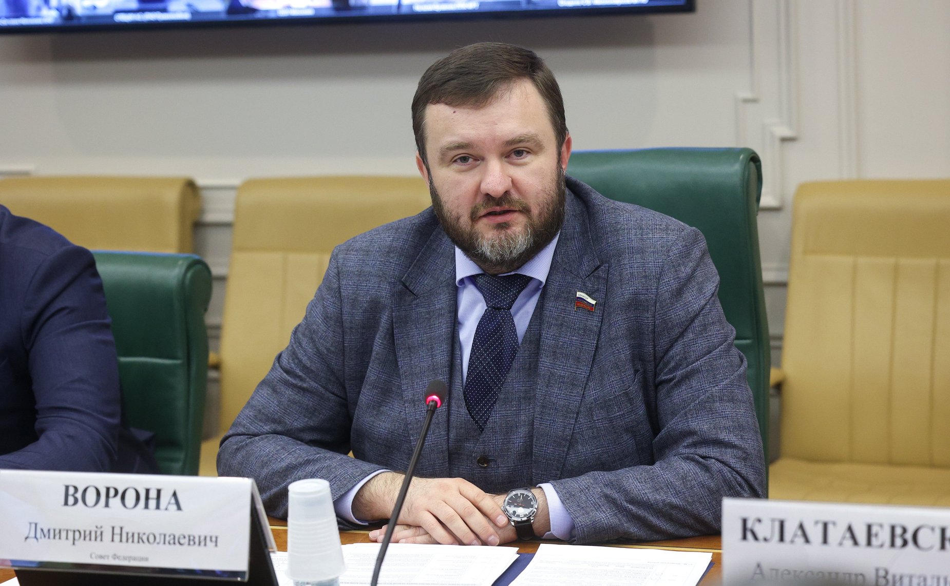 Дмитрий Ворона