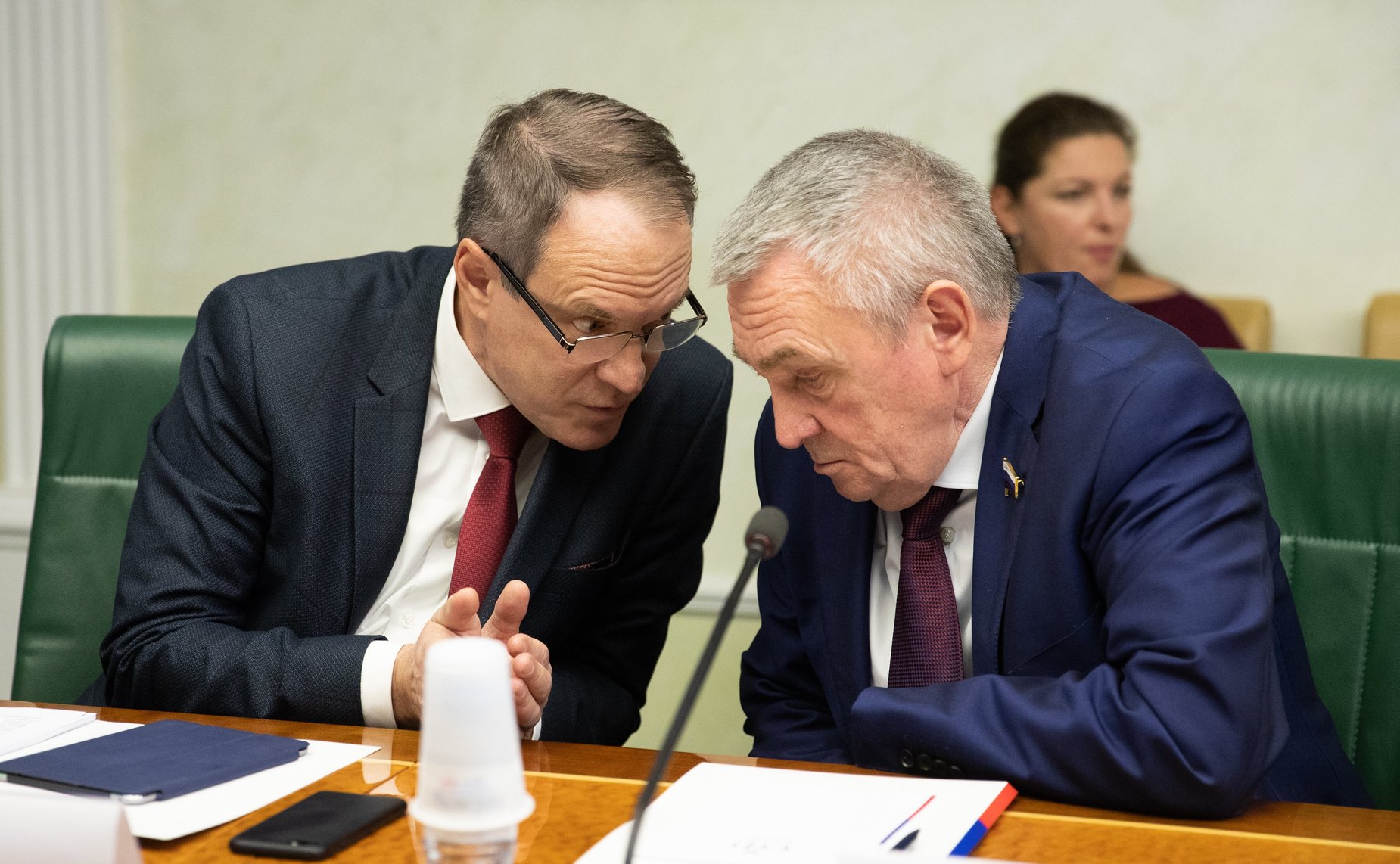 Александр Башкин и Владимир Бекетов