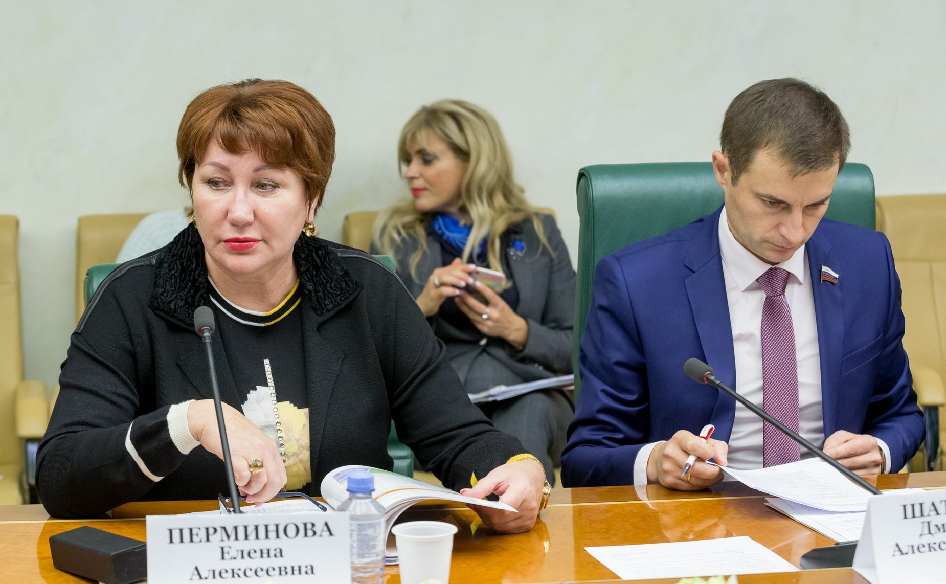 Заседание рабочей группы при Комитете СФ по бюджету и финансовым рынкам по совершенствованию законодательства в сфере инициативного бюджетирования