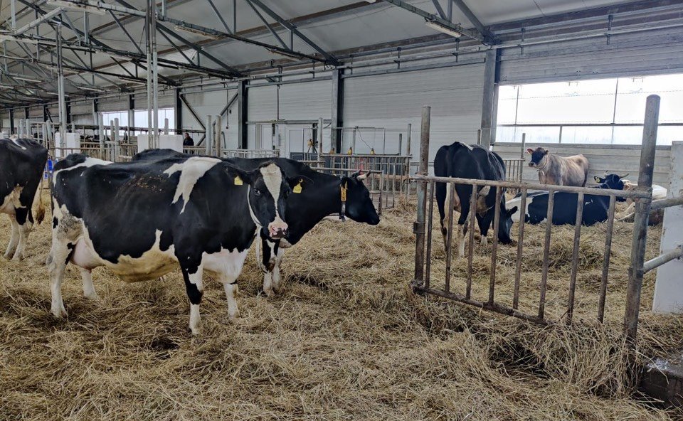 Сергей Белоусов в рамках деятельности рабочей группы по мониторингу реализации закона об органической продукции посетил многопрофильное органическое хозяйство в селе Шульгино Московской области