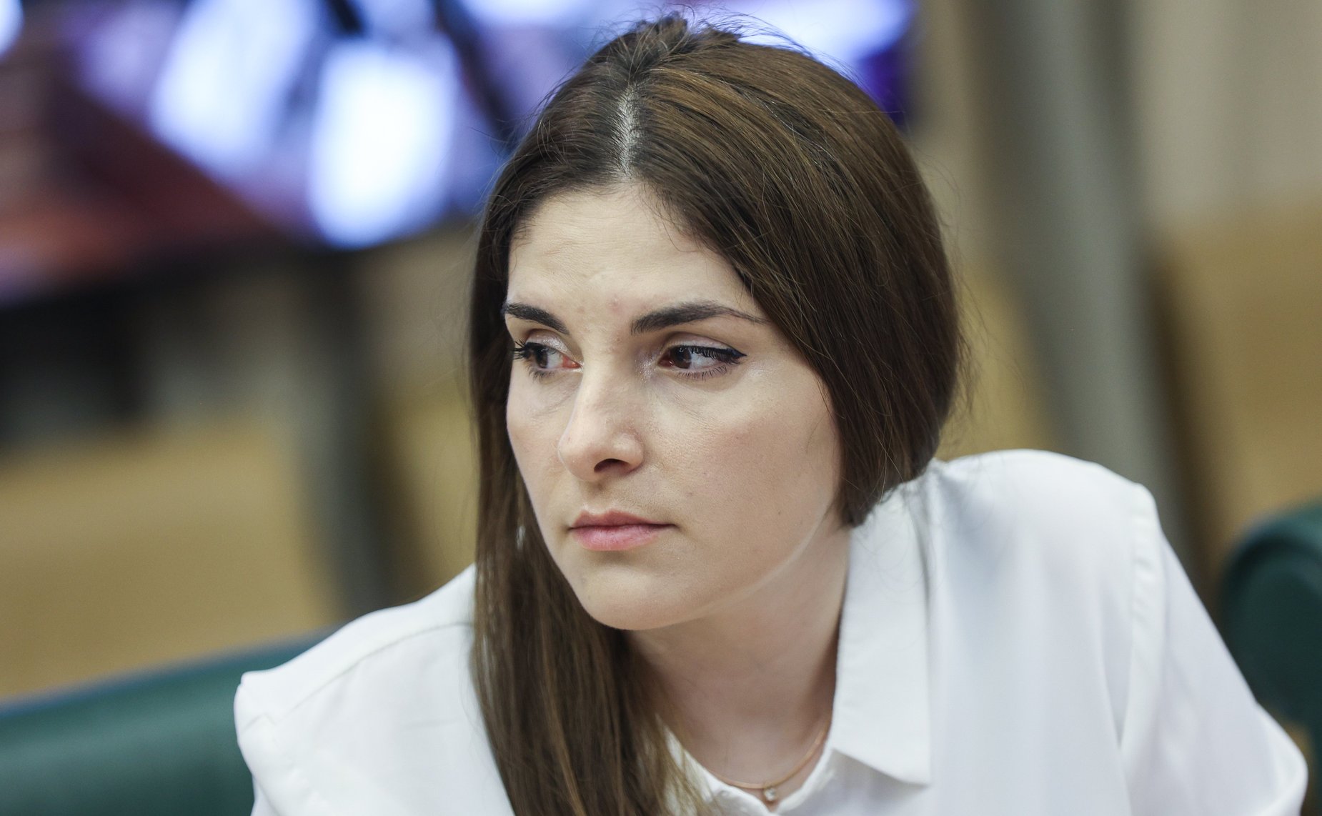 Заседание секции «Искусственный интеллект» Совета по развитию цифровой экономики при Совете Федерации