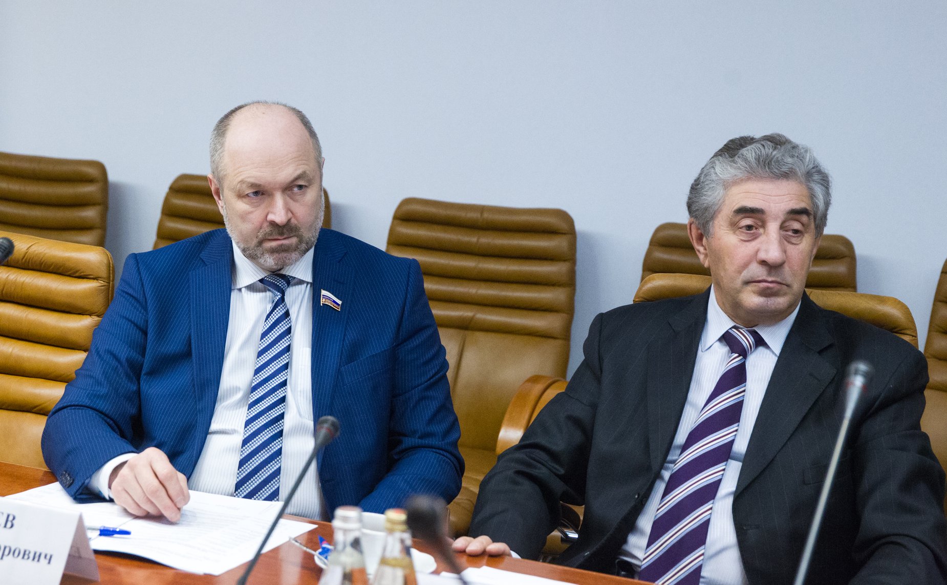 С. Грачев Заседание Комиссии Совета законодателей по вопросам экономической и промышленной политики