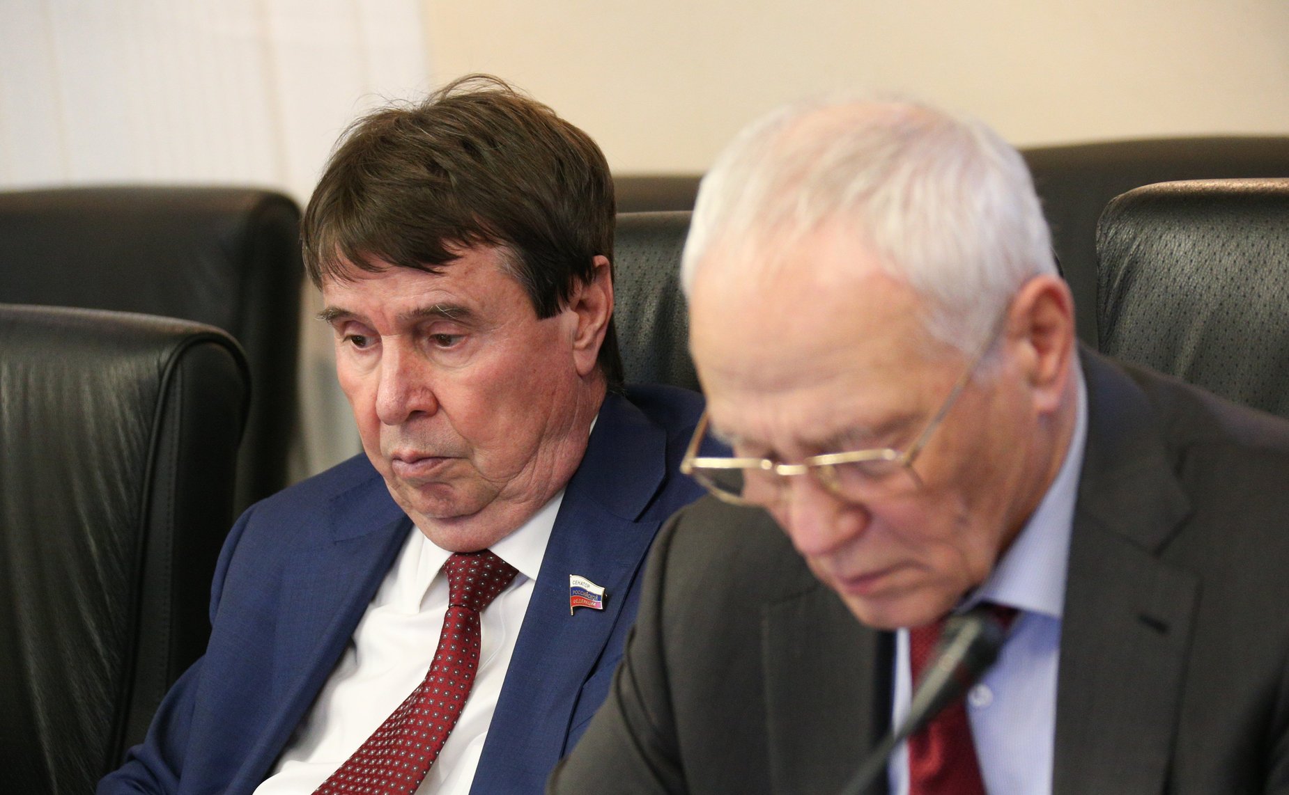 Заседание Комитета СФ по международным делам