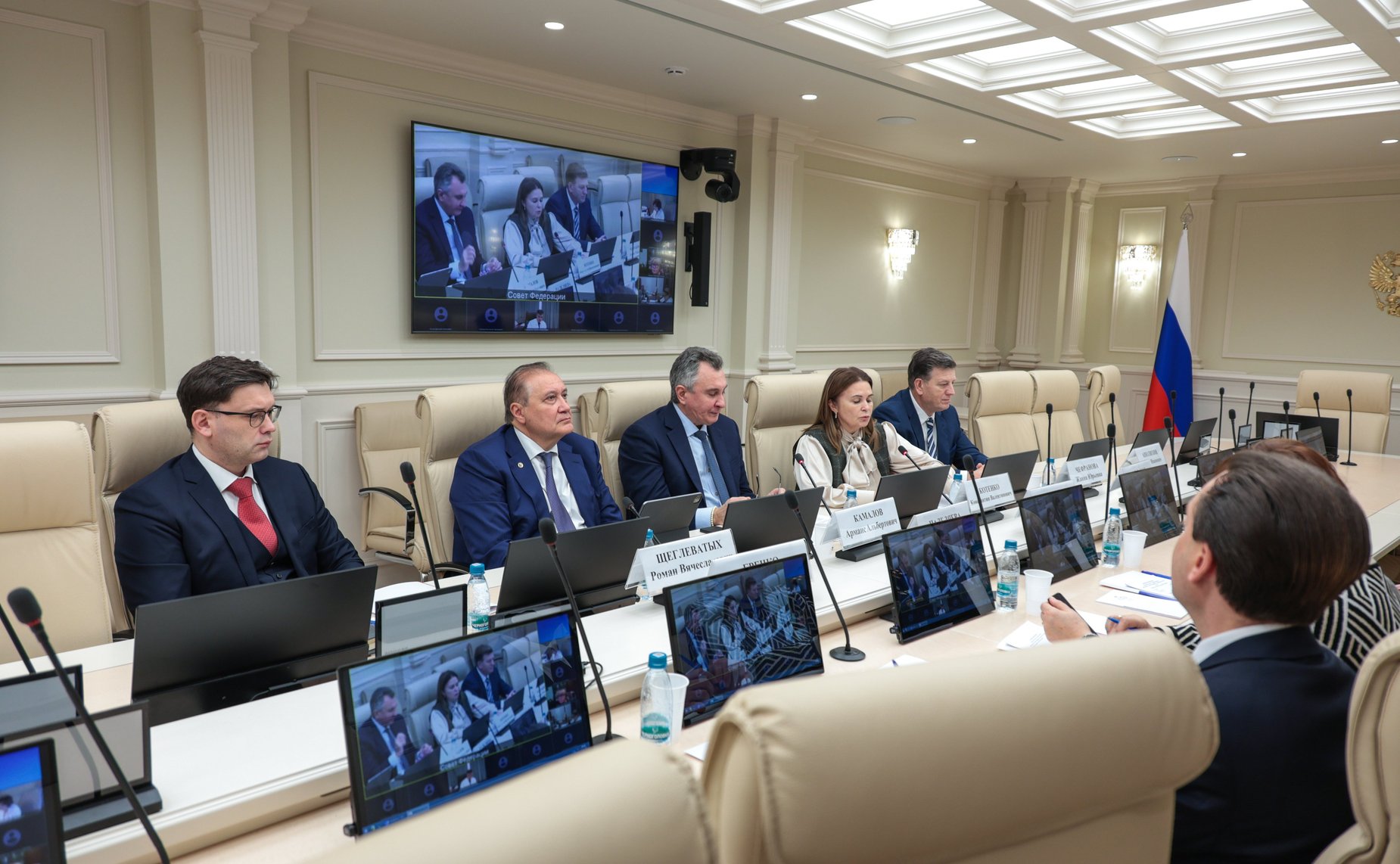 Заседание Экспертного совета по здравоохранению при Комитете Совета Федерации по социальной политике