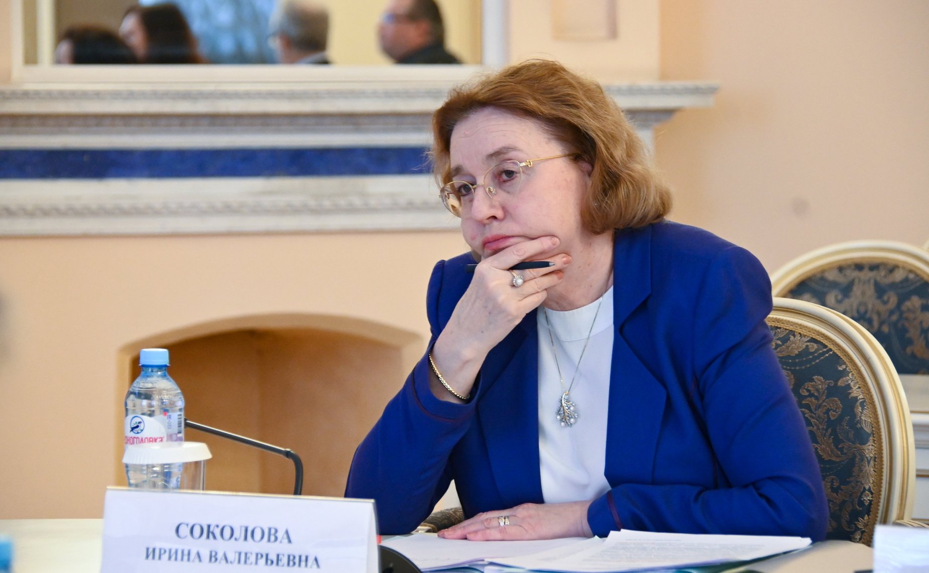 Участие сенаторов в заседании рабочей группы МПА СНГ по подготовке модельного закона «О платформенной занятости»