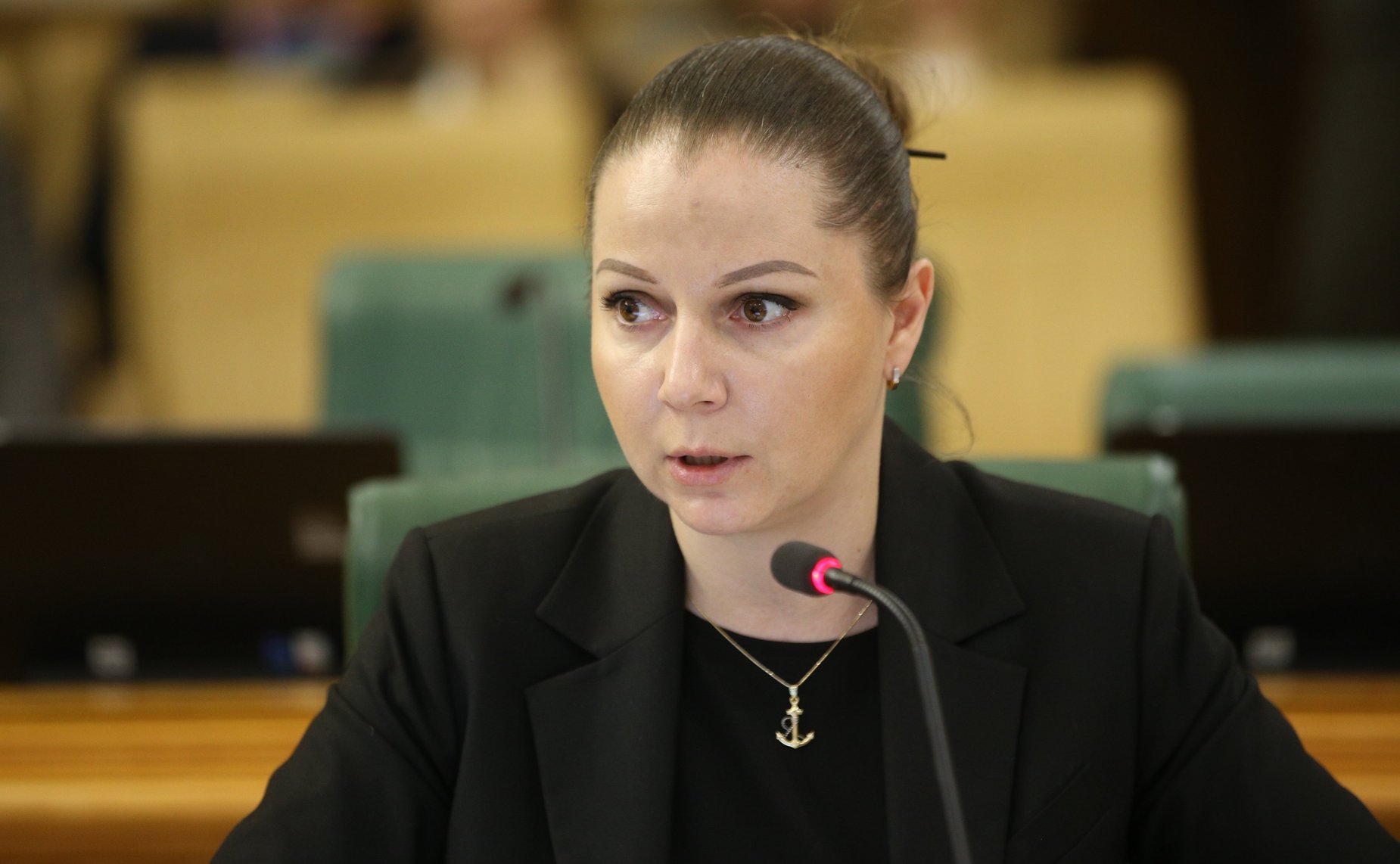 Заседание Комитета СФ по конституционному законодательству и государственному строительству