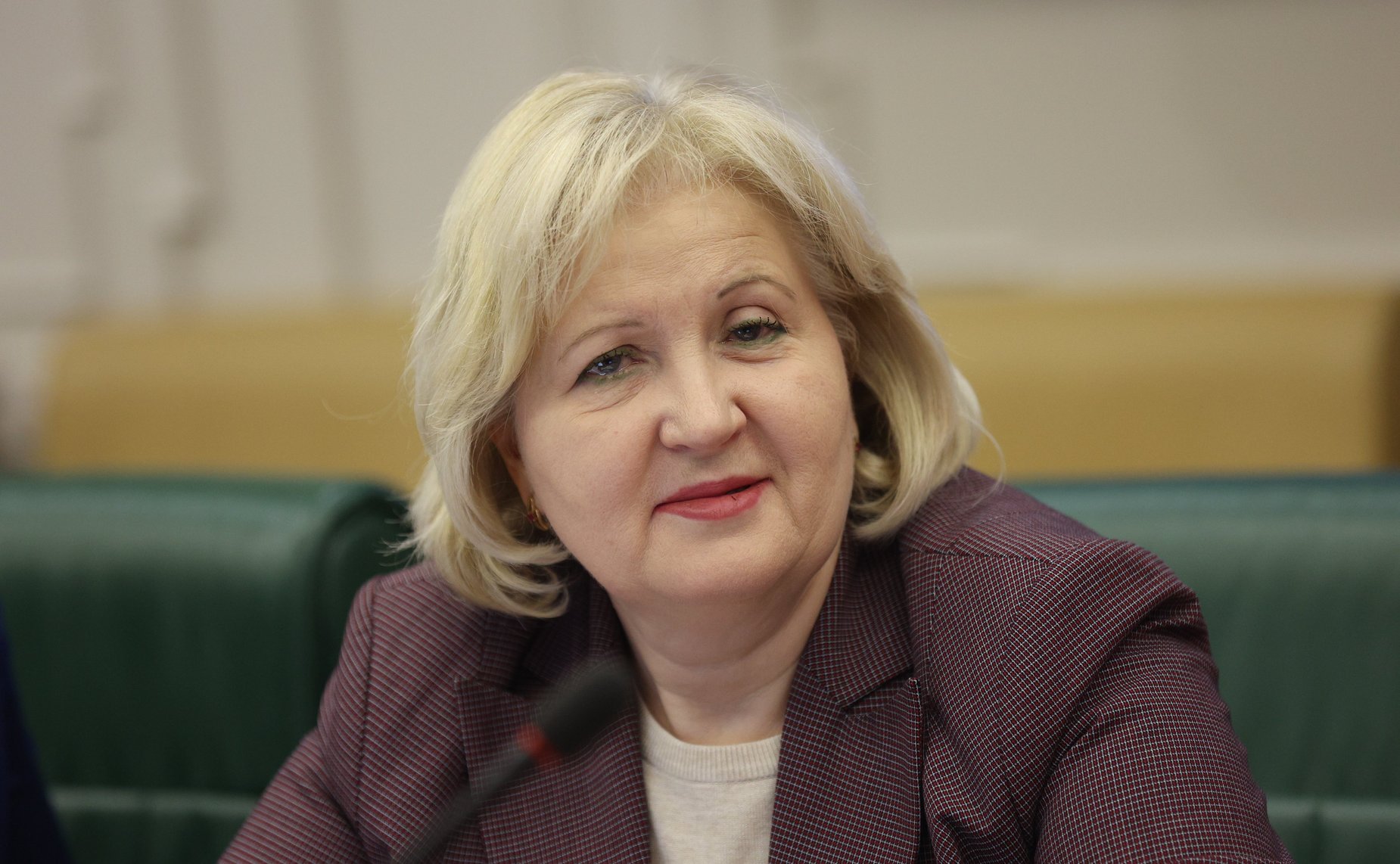 Круглый стол Комитета СФ по экономической политике на тему «О развитии производства малотоннажной химии в РФ в условиях санкционного давления»