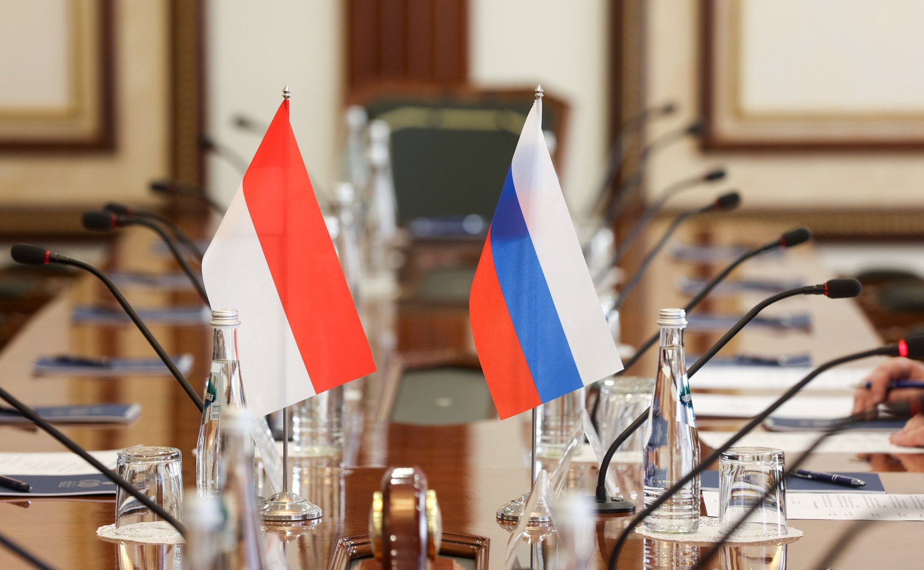 Встреча первого заместителя председателя Комитета СФ по бюджету и финансовым рынкам Александра Шендерюк–Жидкова с заместителем Председателя Совета представителей регионов Народного консультативного конгресса Республики Индонезия