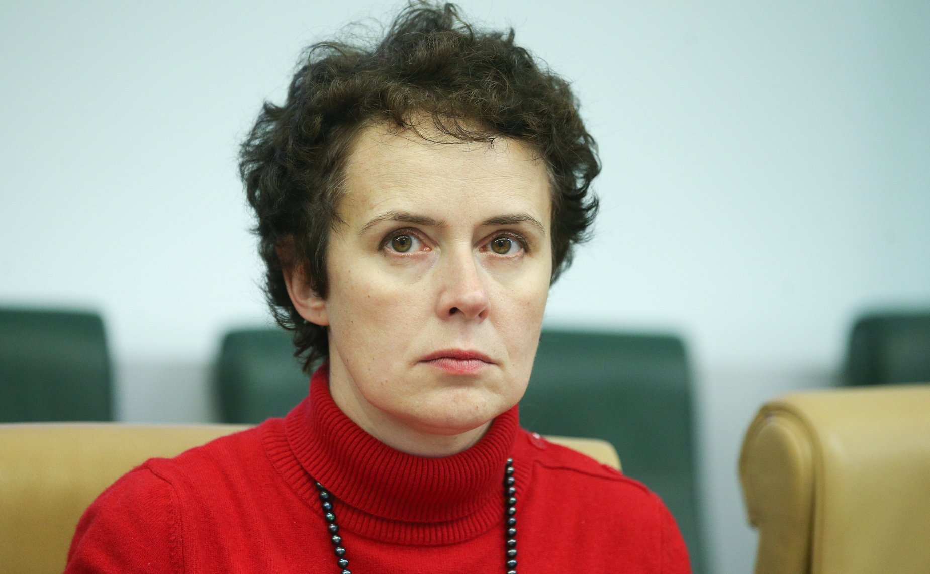 Заседание экспертного совета по социальному развитию при Комитете СФ по социальной политике