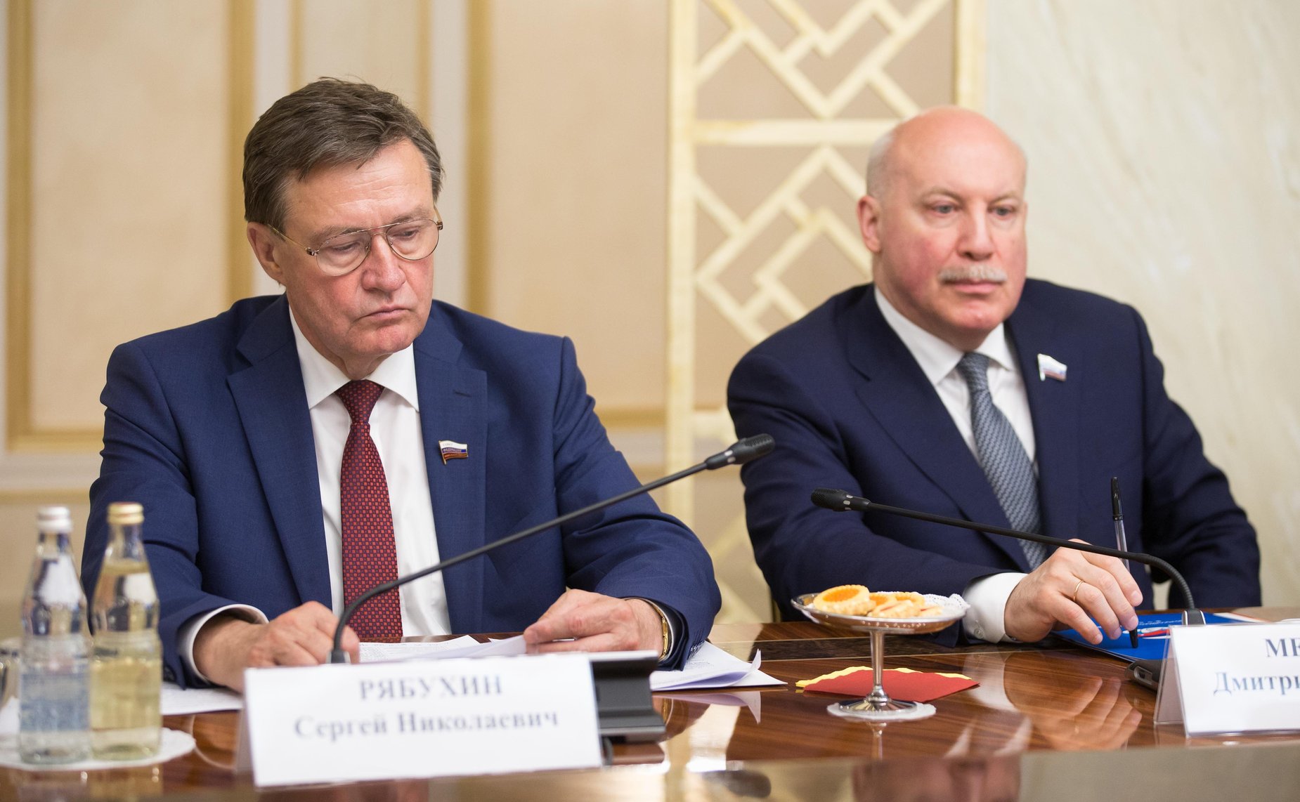 С. Рябухин и Д. Мезенцев