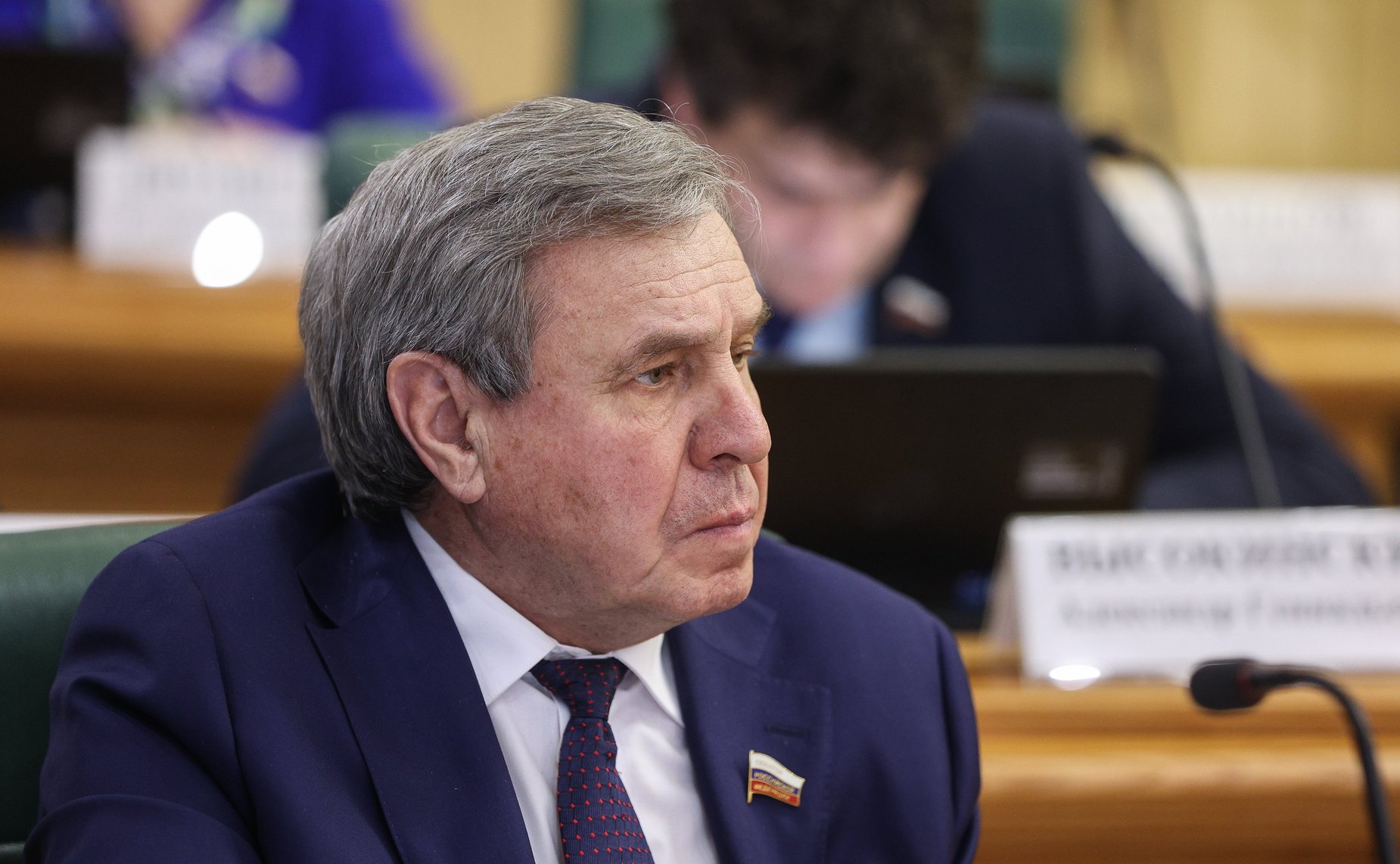 Владимир Городецкий