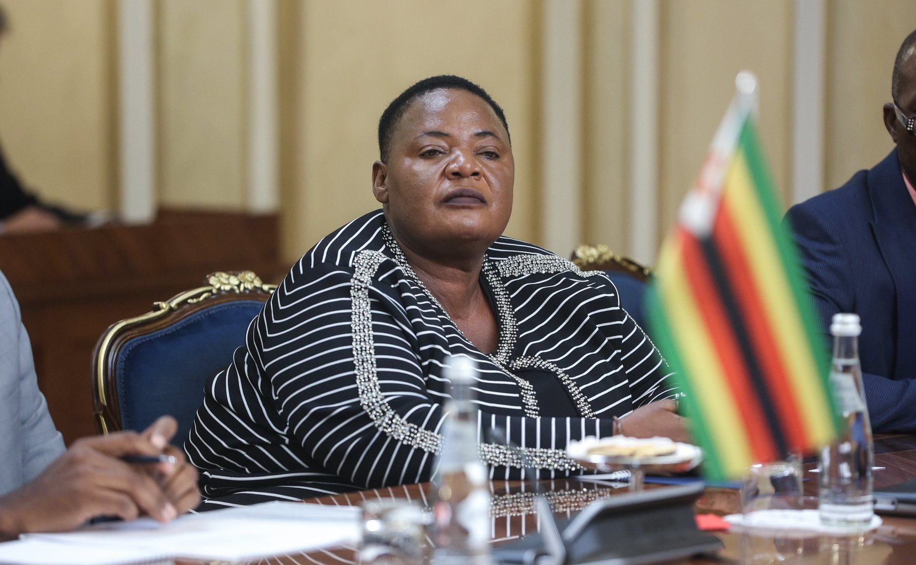 Встреча Председателя Совета Федерации Валентины Матвиенко с Председателем Сената Республики Зимбабве Мейбл Чиномоной