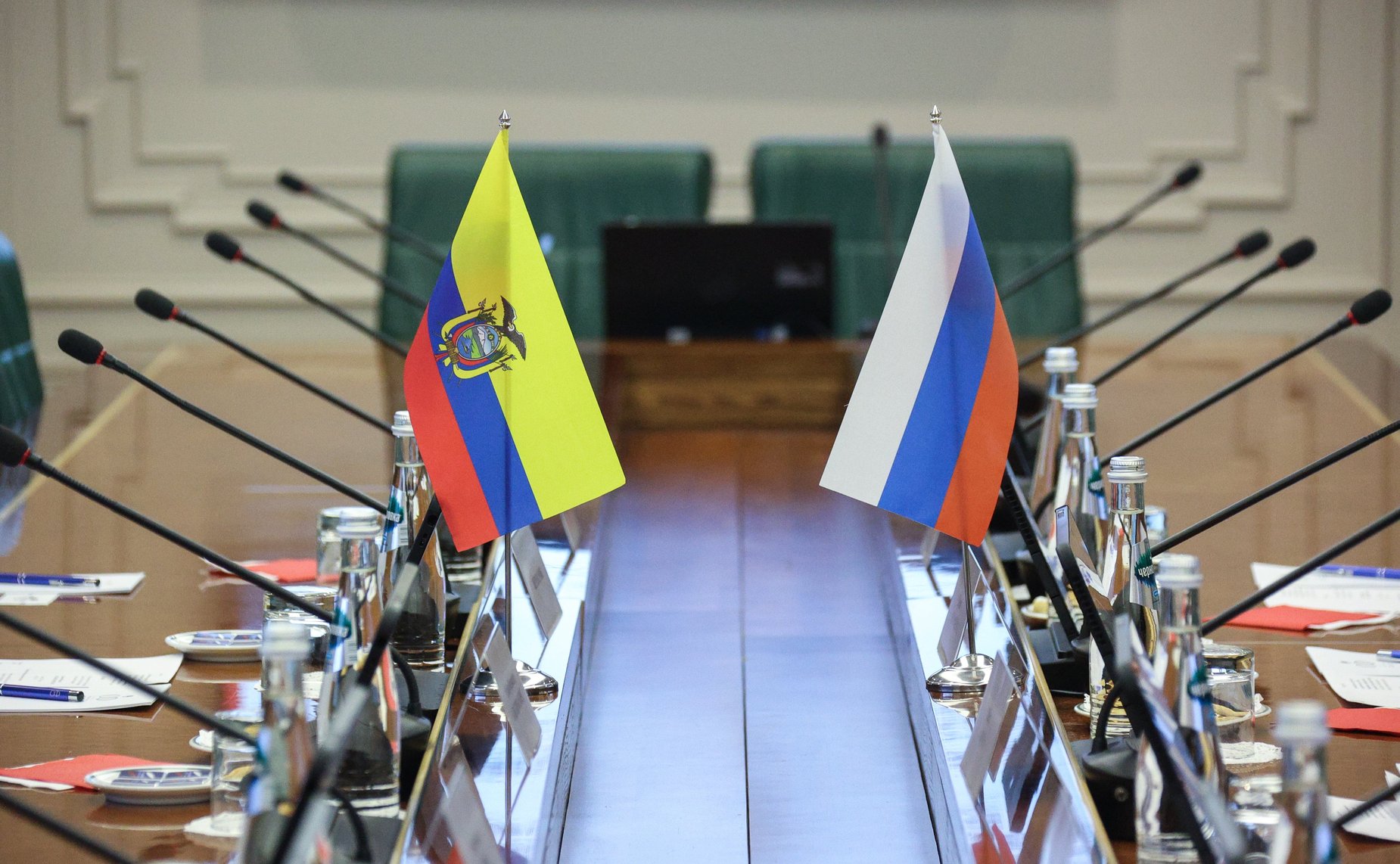 Встреча руководителя группы по сотрудничеству Совета Федерации с Национальной Ассамблеей Республики Эквадор Дины Оюн с Чрезвычайным и Полномочным Послом Республики Эквадор в РФ
