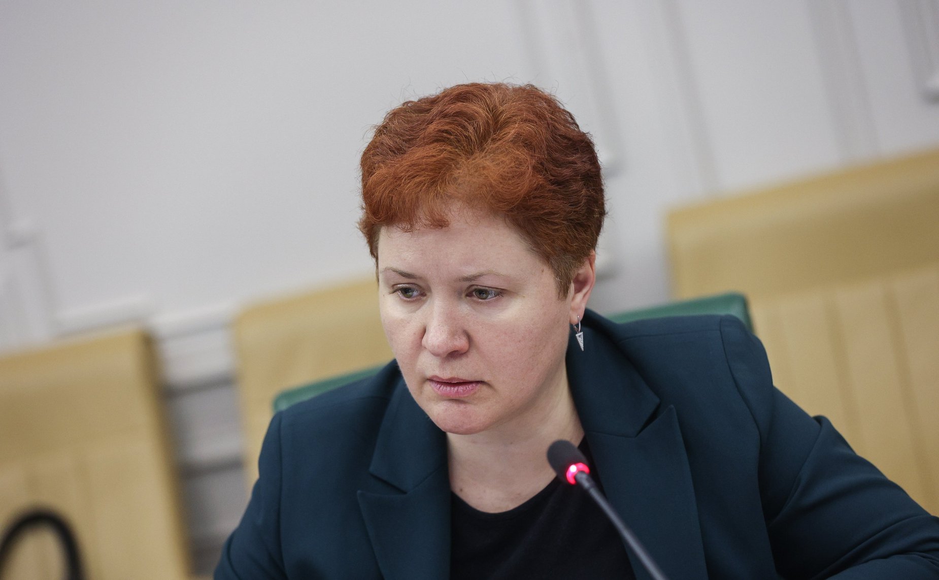 Круглый стол Комитета СФ по экономической политике «Рекламный рынок в субъектах РФ: состояние, тенденции развития, особенности законодательного регулирования»