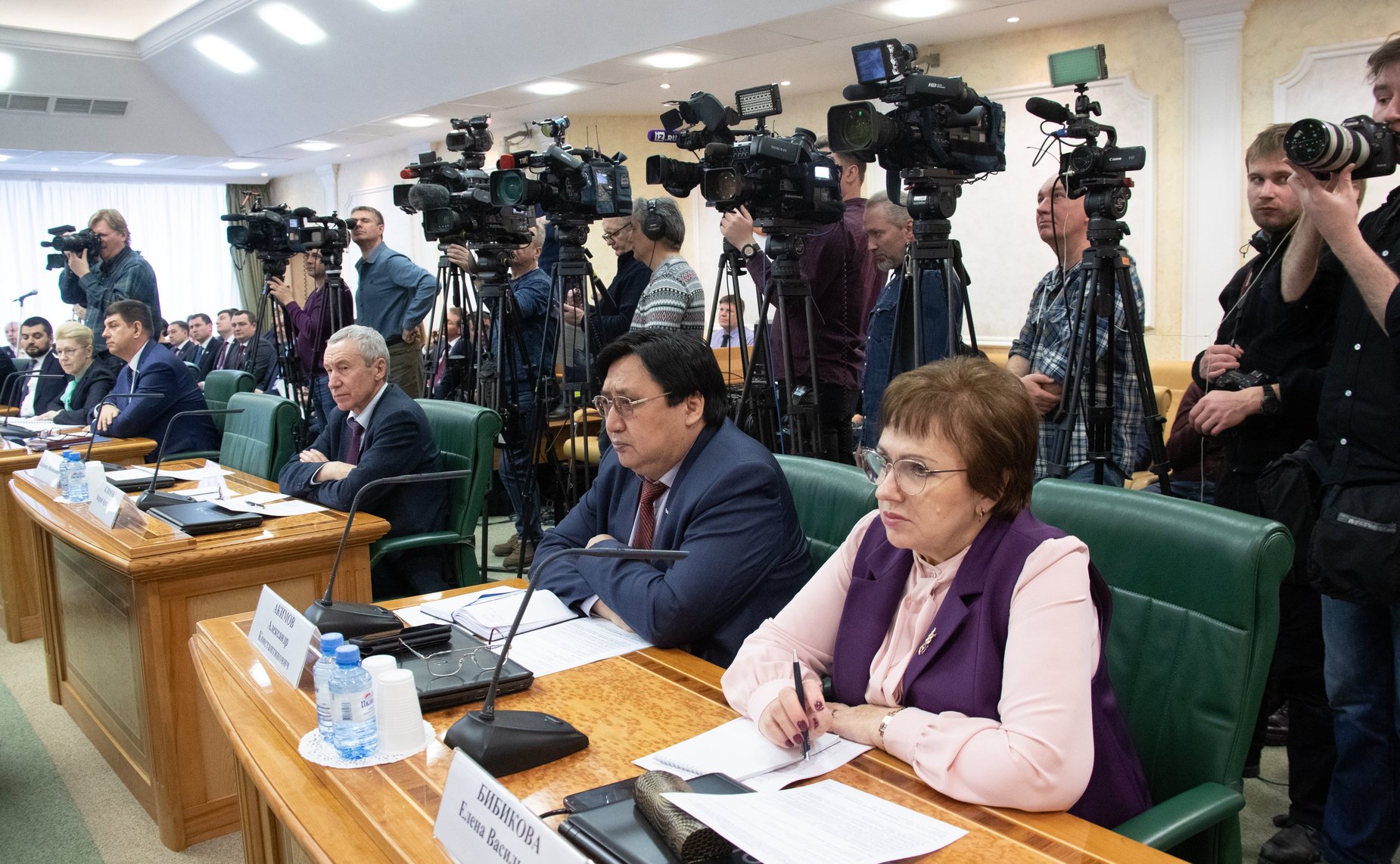 Елена Бибикова