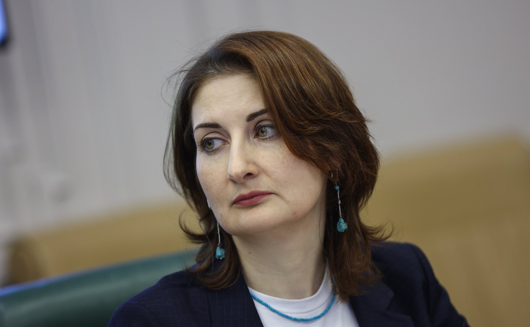 Встреча председателя Комитета СФ по международным делам Григория Карасина с Президентом Экономического и социального совета Центральноафриканской Республики