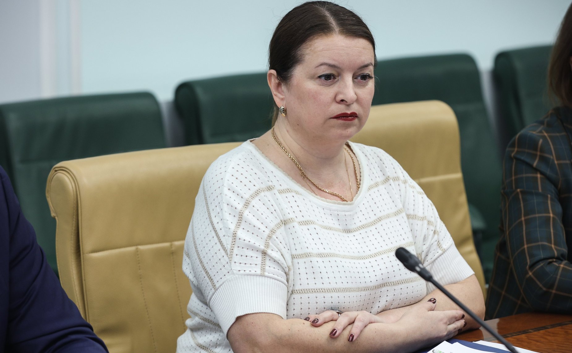 Совещание Комитета Совета Федерации по аграрно-продовольственной политике и природопользованию на тему «О готовности субъектов Российской Федерации к пожароопасному сезону 2024»