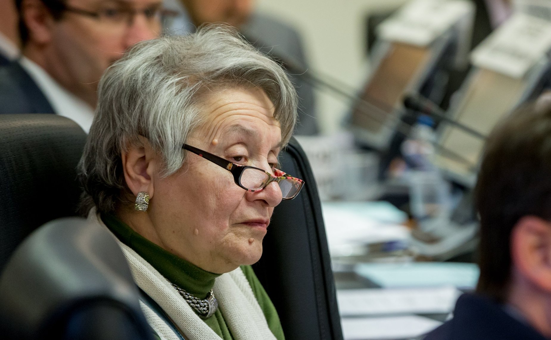 «Круглый стол» на тему «О механизмах и мерах поддержки развития исторических поселений»