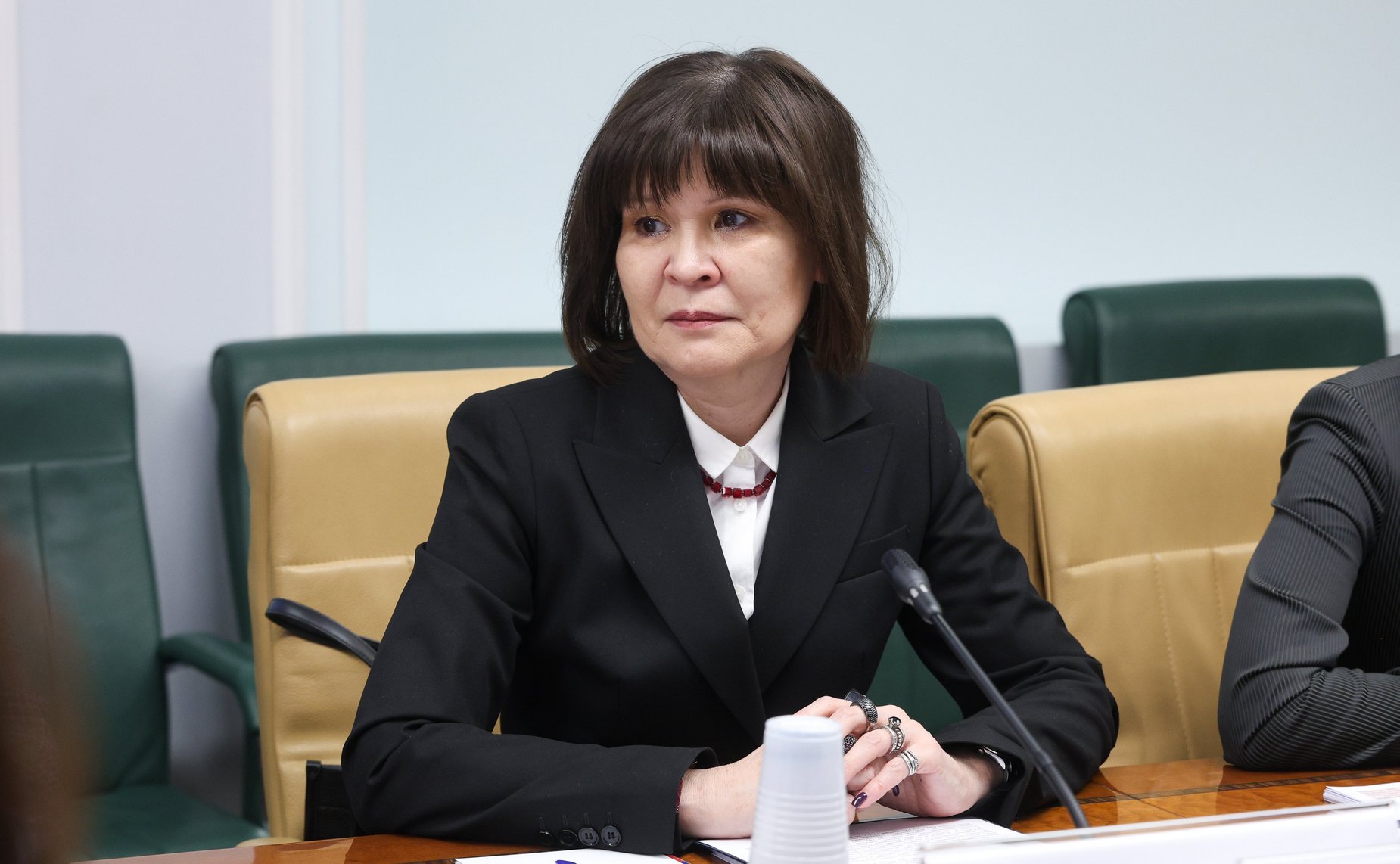 Заседание Экспертного совета по социальному развитию при Комитете Совета Федерации по социальной политике