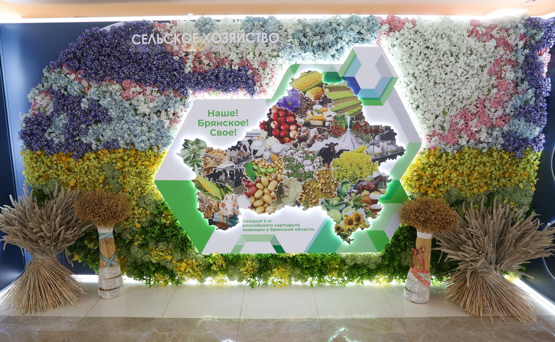 Валентина Матвиенко и Александр Богомаз осмотрели выставку, посвященную истории и перспективным направлениям развития Брянской области