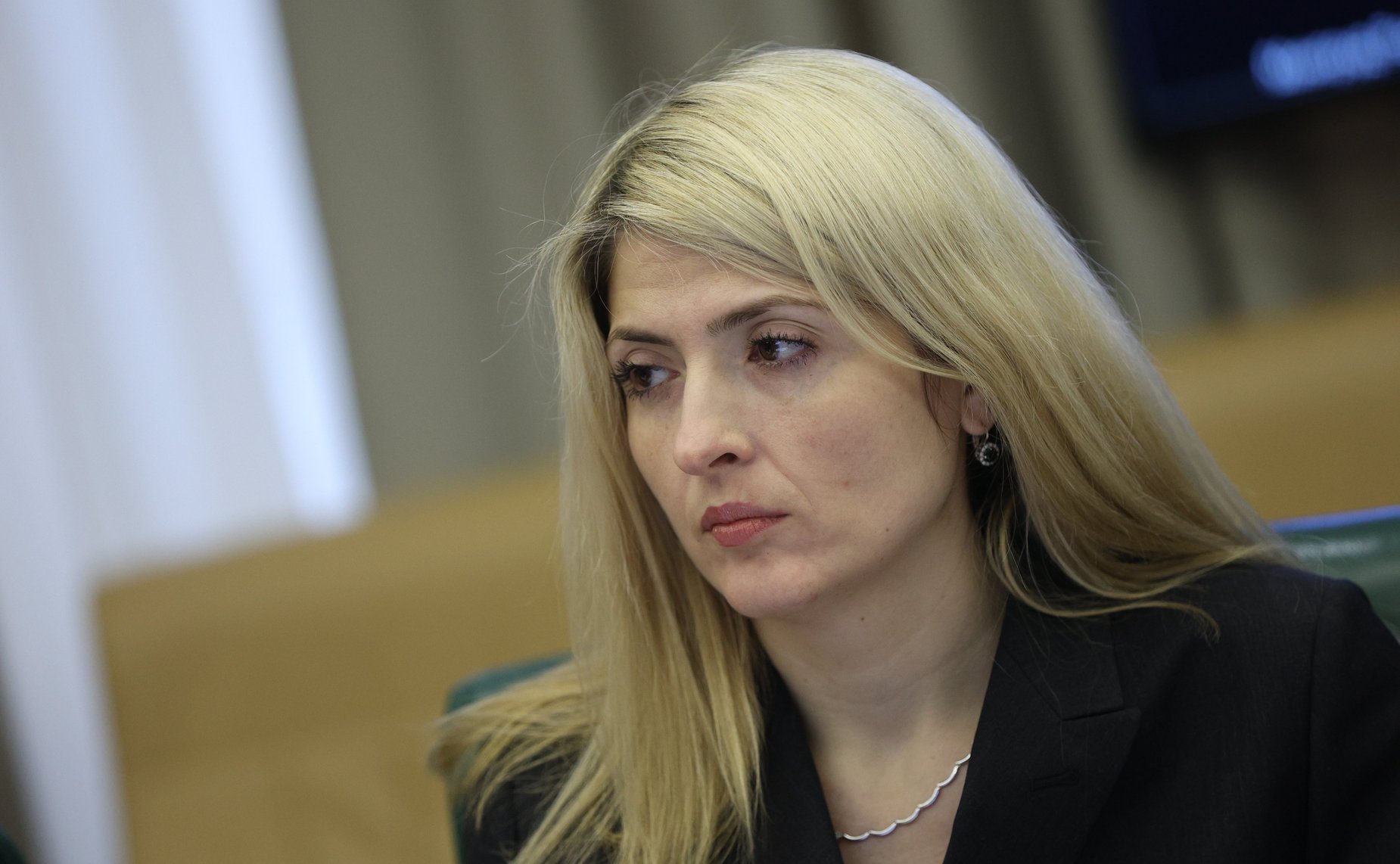 Совещание Комитета СФ по науке, образованию и культуре