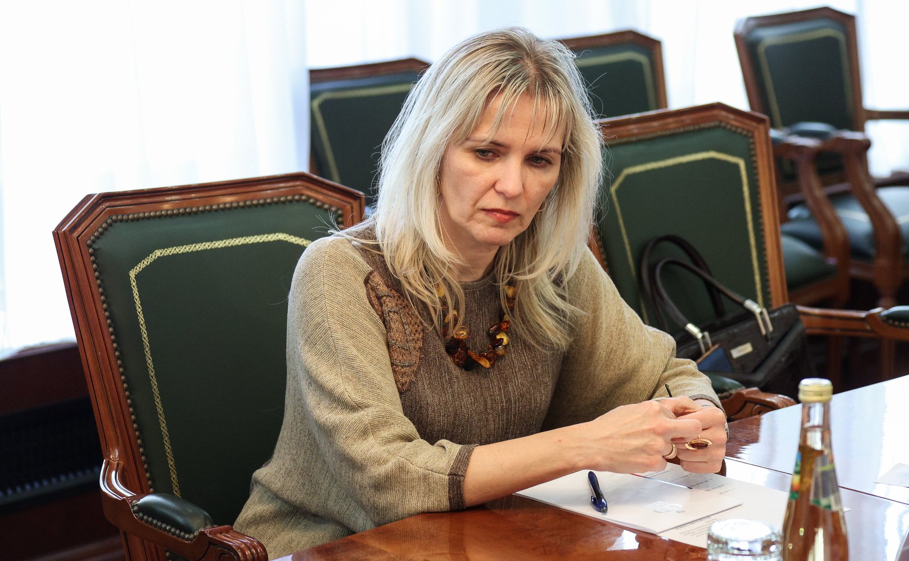 Встреча Андрея Денисова с заместителем председателя Комитета по международным делам Национального собрания Социалистической Республики Вьетнама