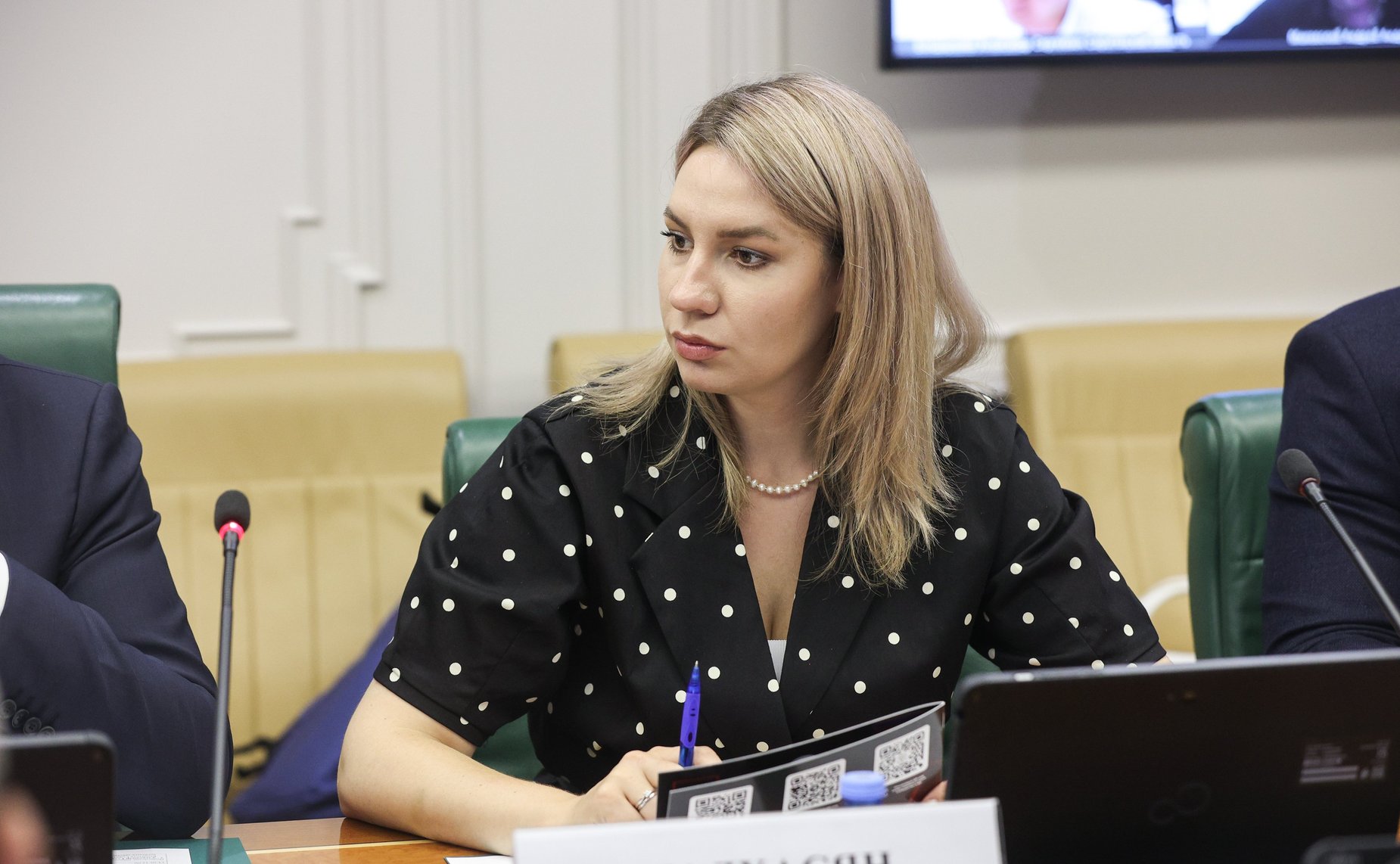 Встреча Палаты молодых законодателей при СФ с представителями общественных организаций