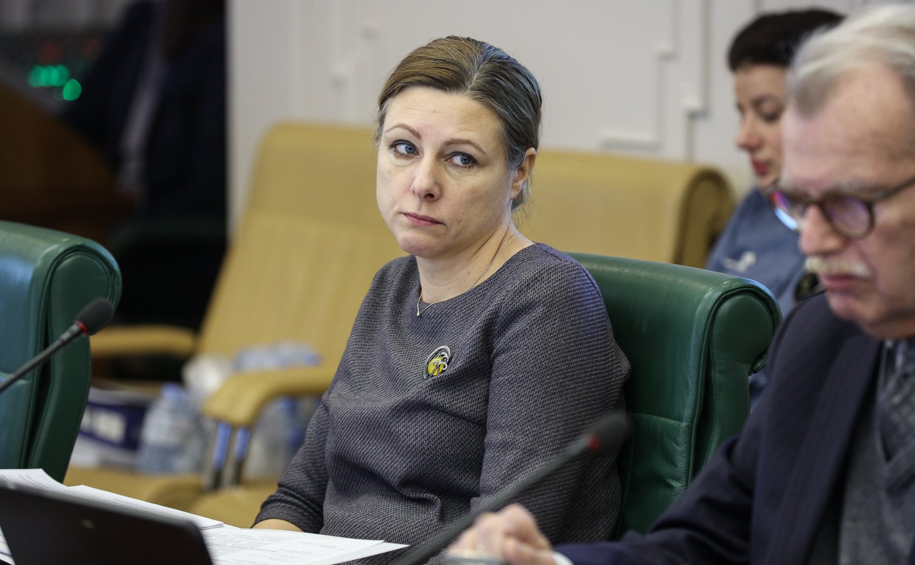 Круглый стол Комитета СФ по международным делам «Идеология «украинства» как основа проекта формирования «анти-России»